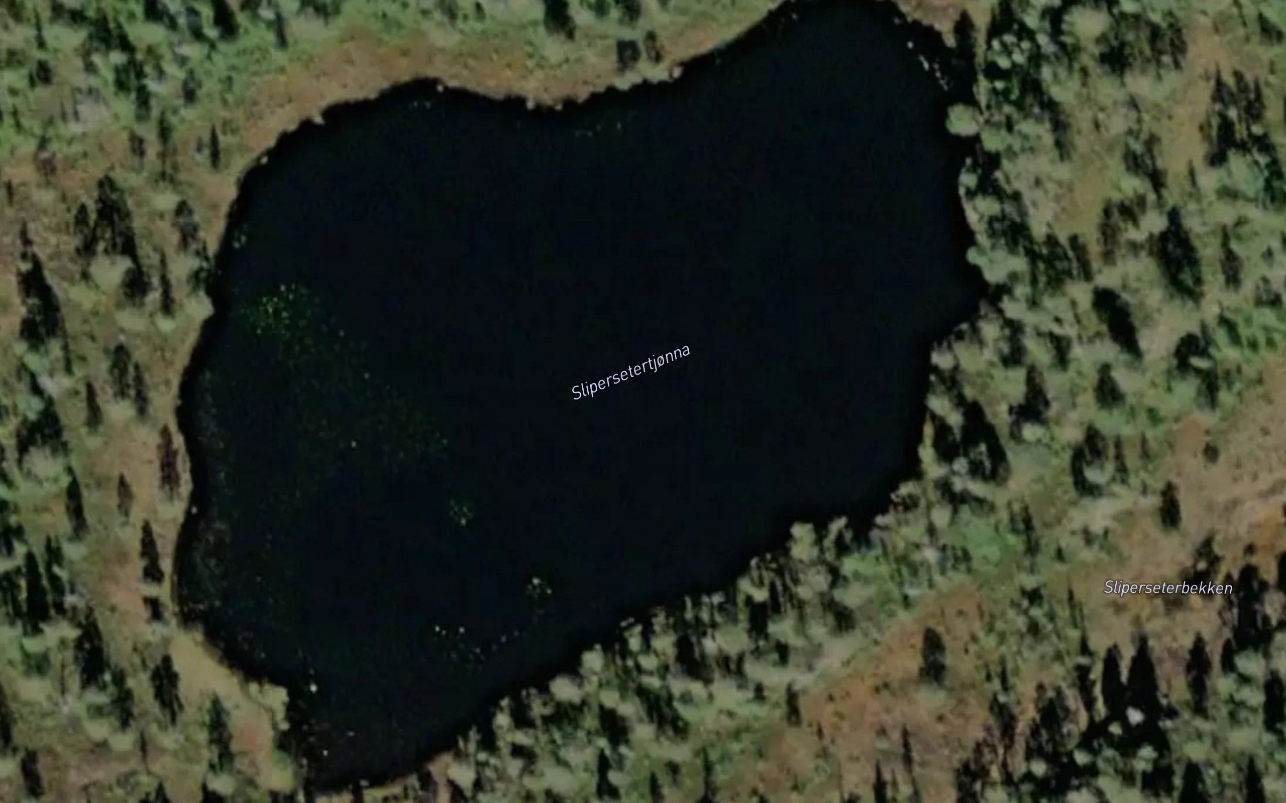 Slipersetertjonna
