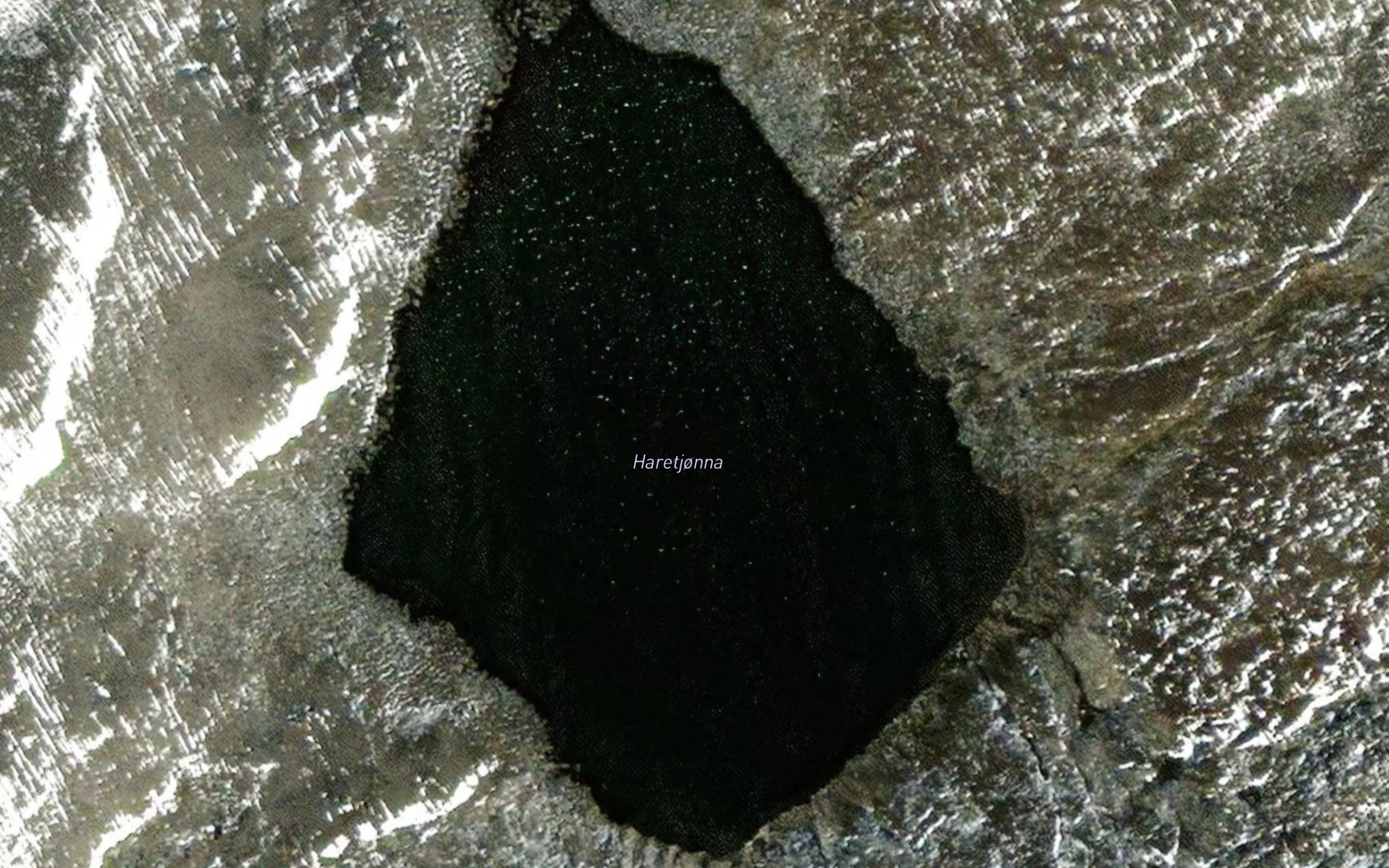 Haretjorna