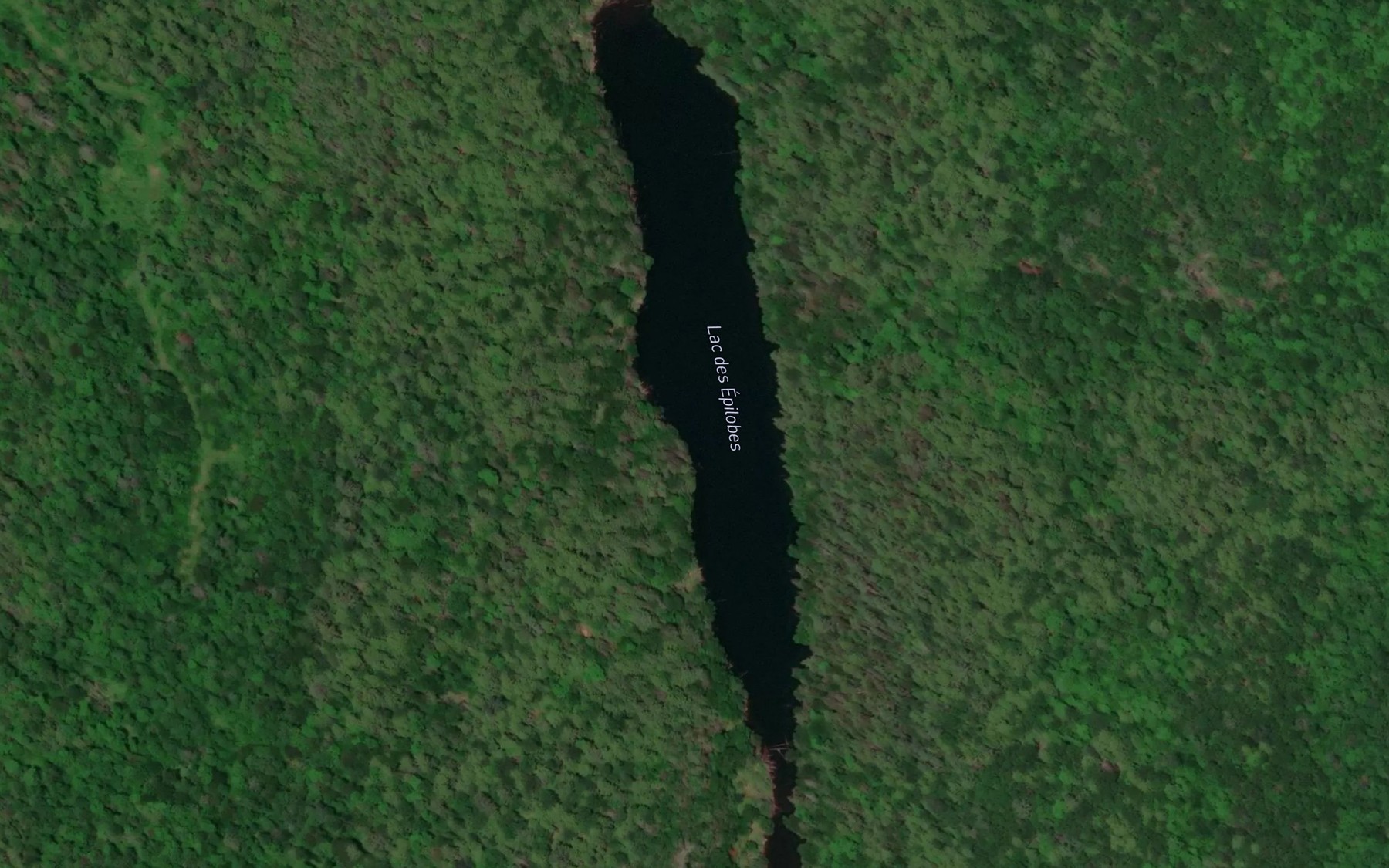 Satellite map of the Lac des Epilobes