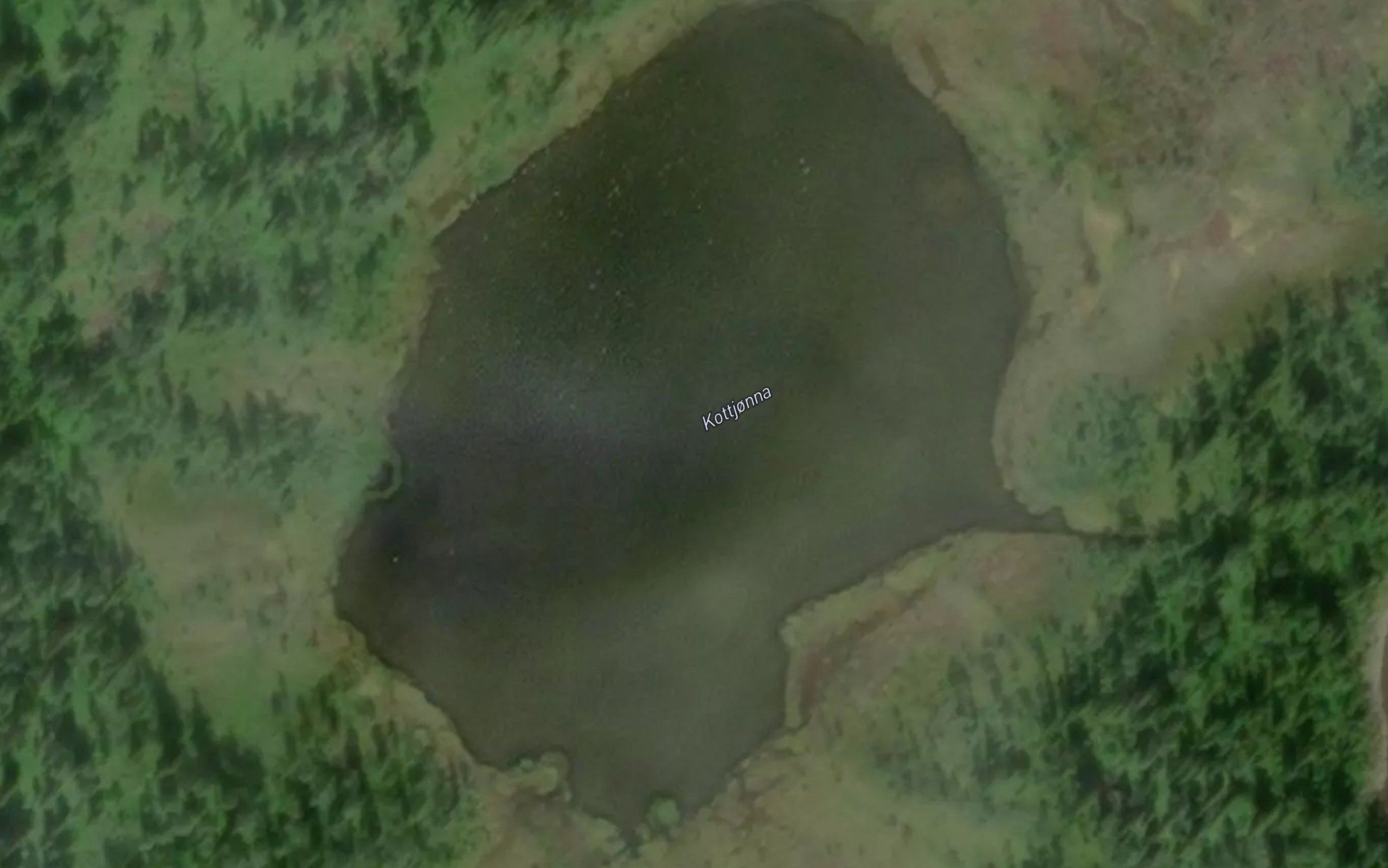 Kottjorna