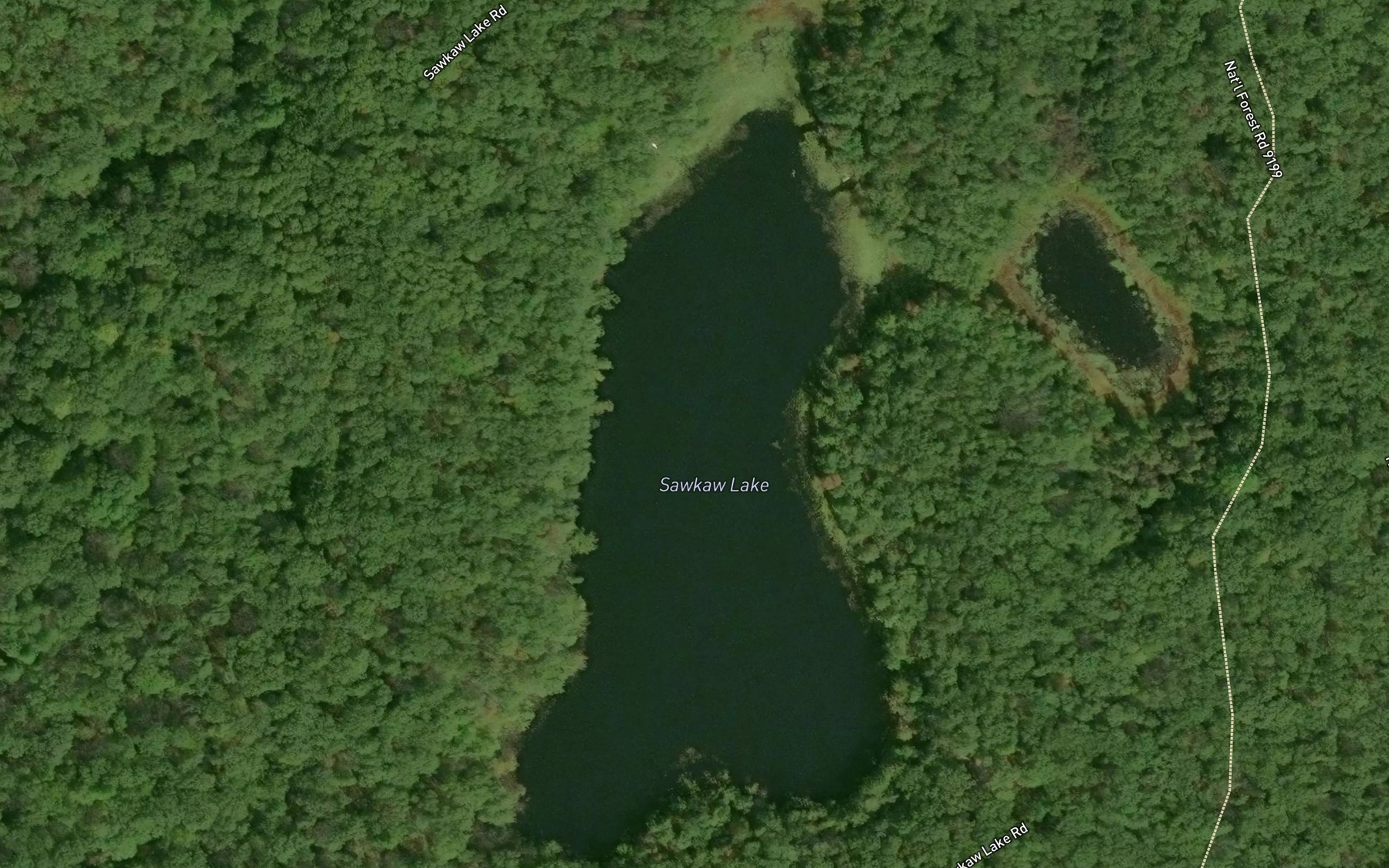 Satellite map of the Sawkaw Lake