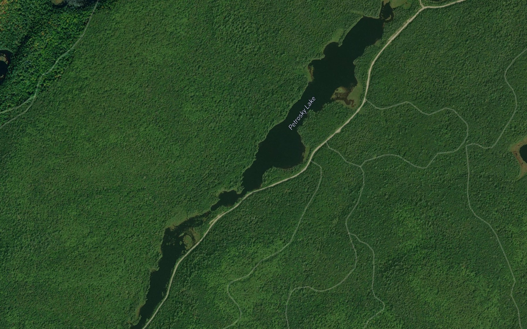 Satellite map of the Petrosky Lake