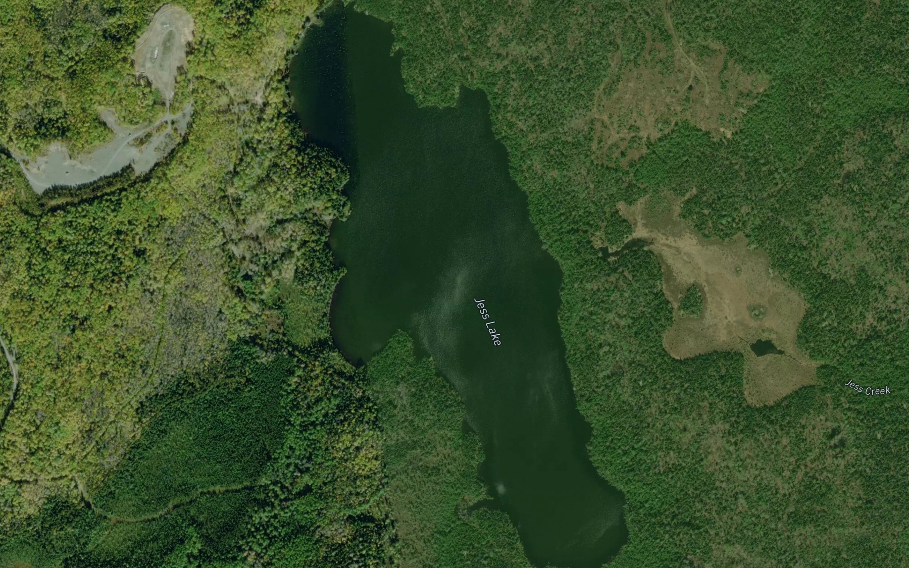 Satellite map of the Jess Lake