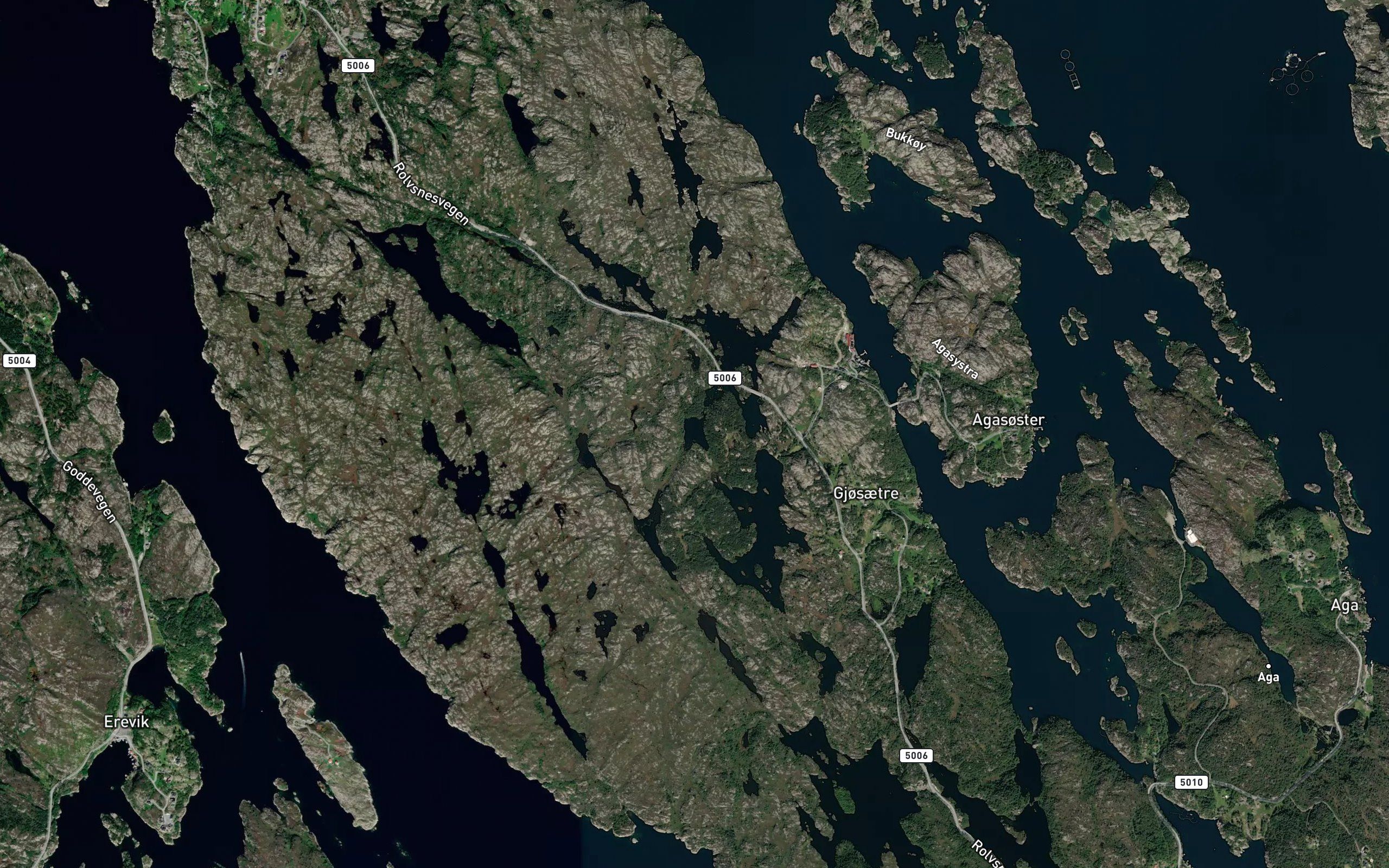 Laukkjaertjorna
