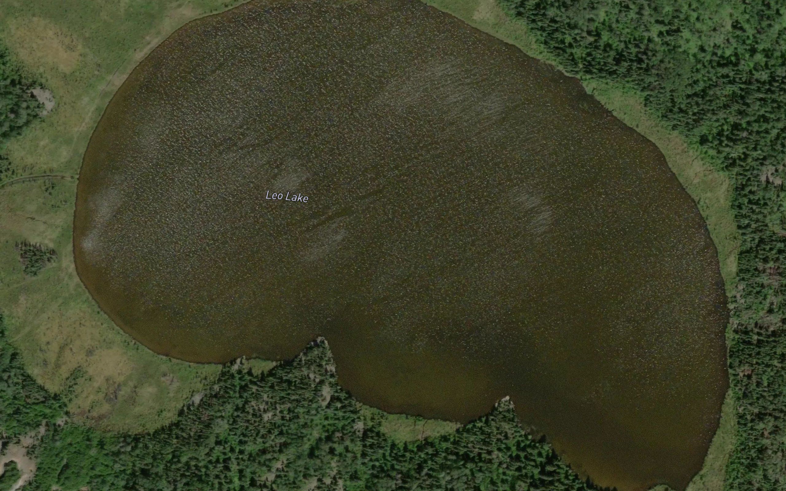Leo Lake