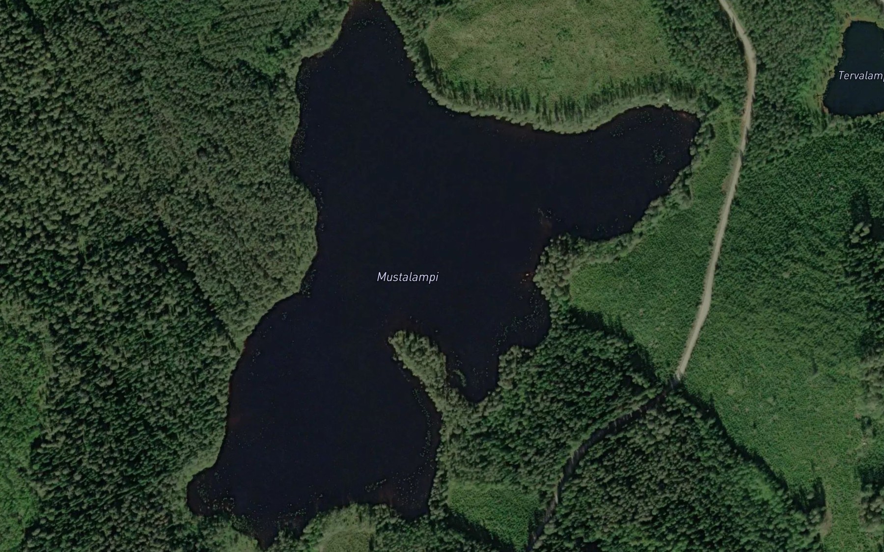 Satellite map of the Mustalampi