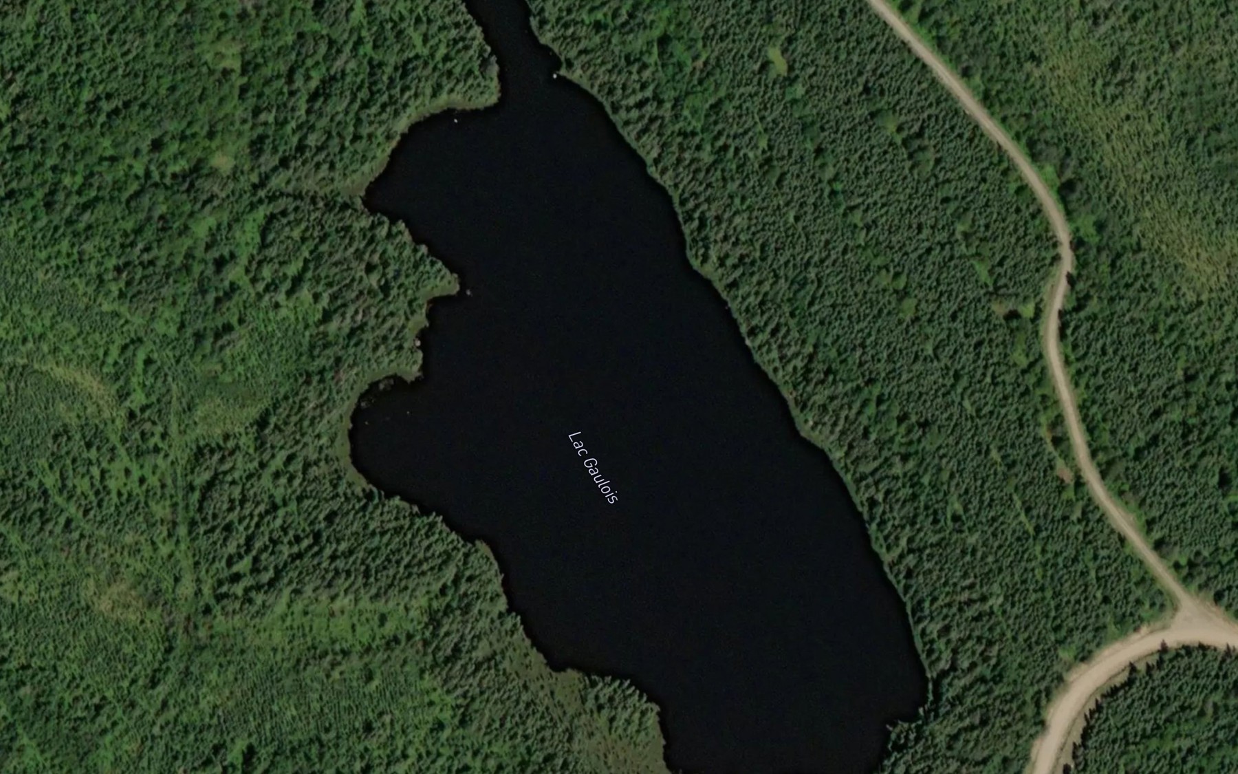 Satellite map of the Lac Gaulois