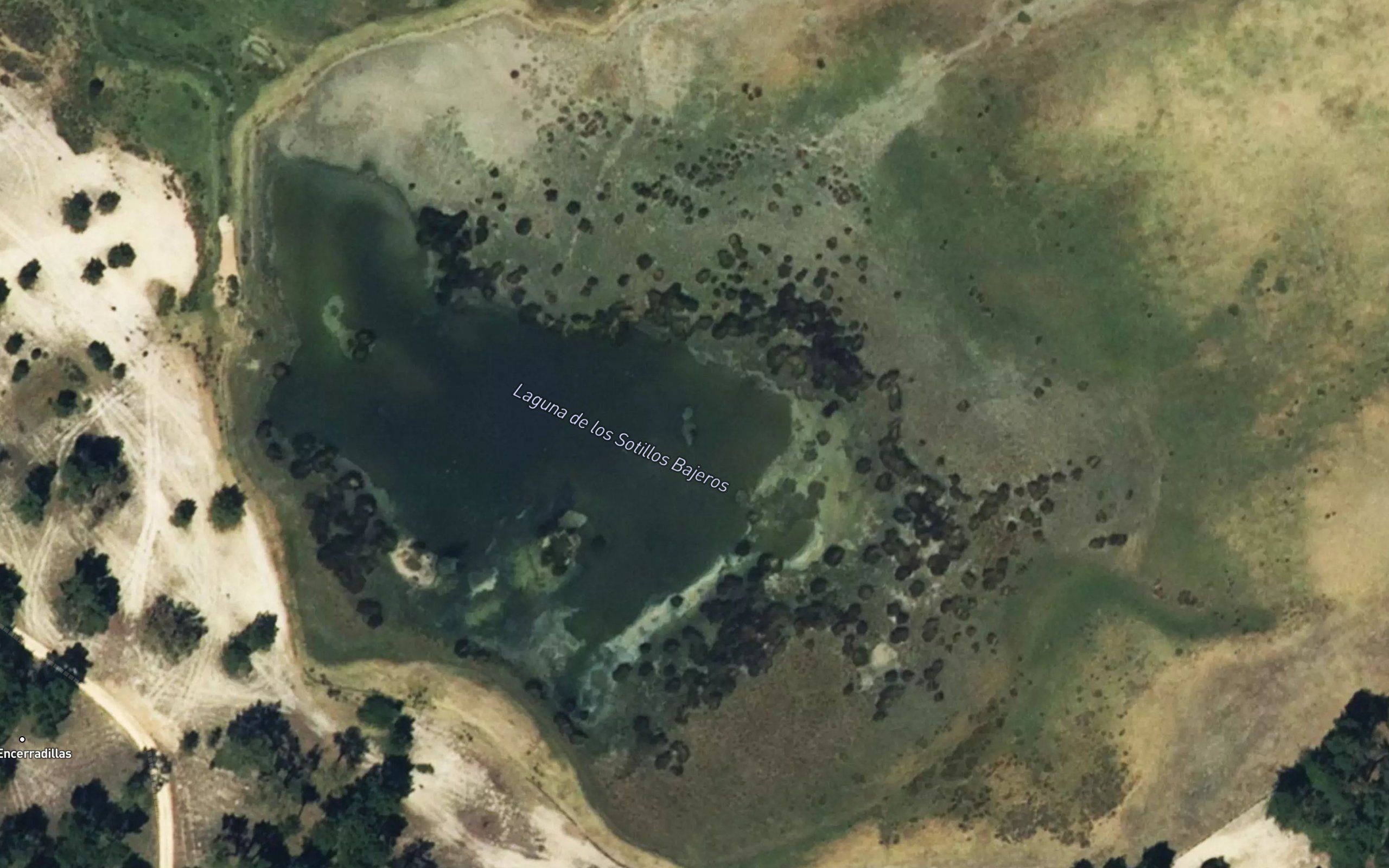 Laguna del Sotillo