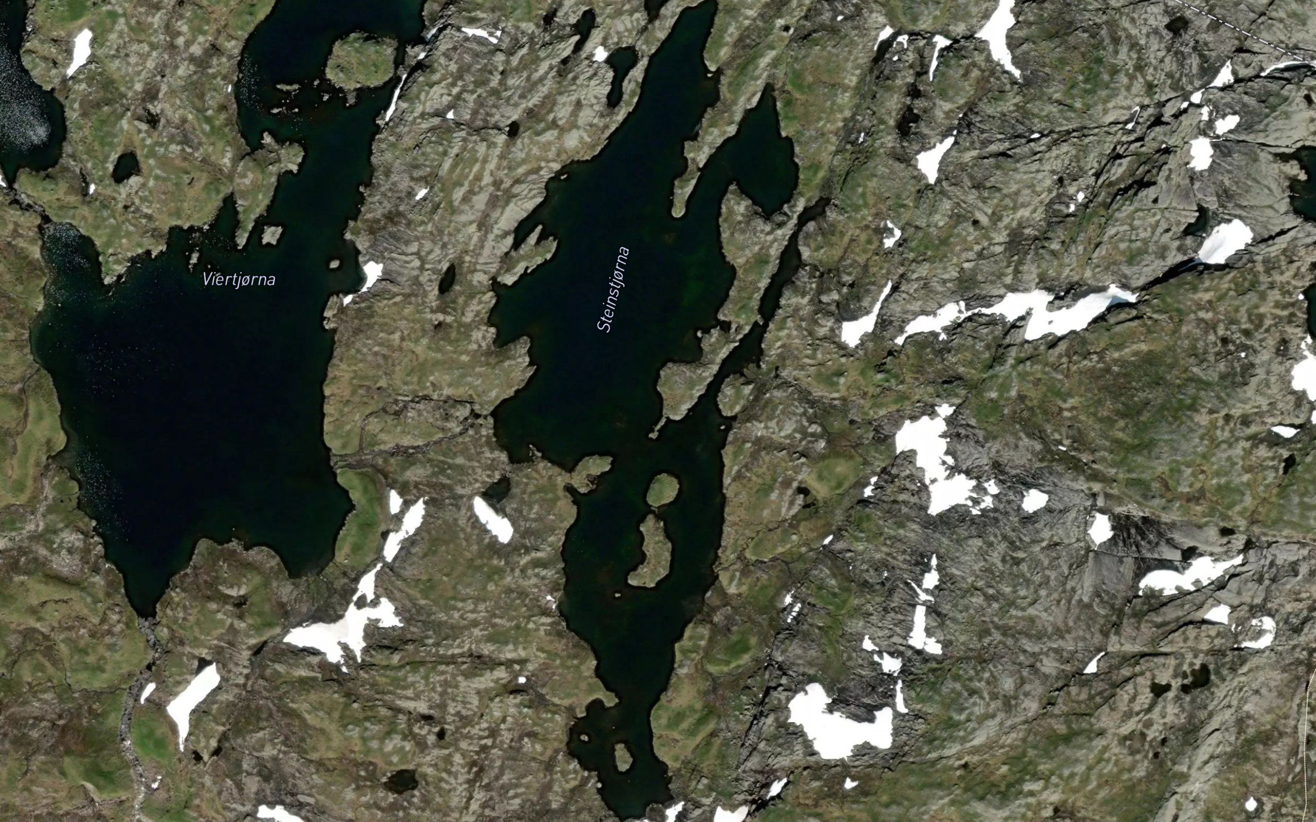Steinstjorna