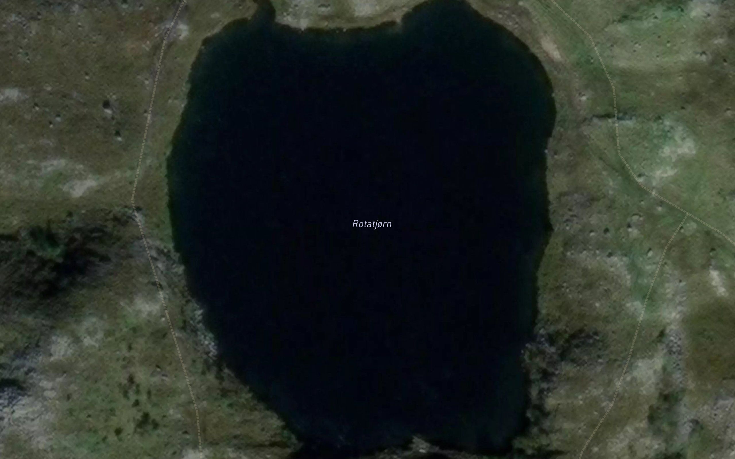 Rotatjorn