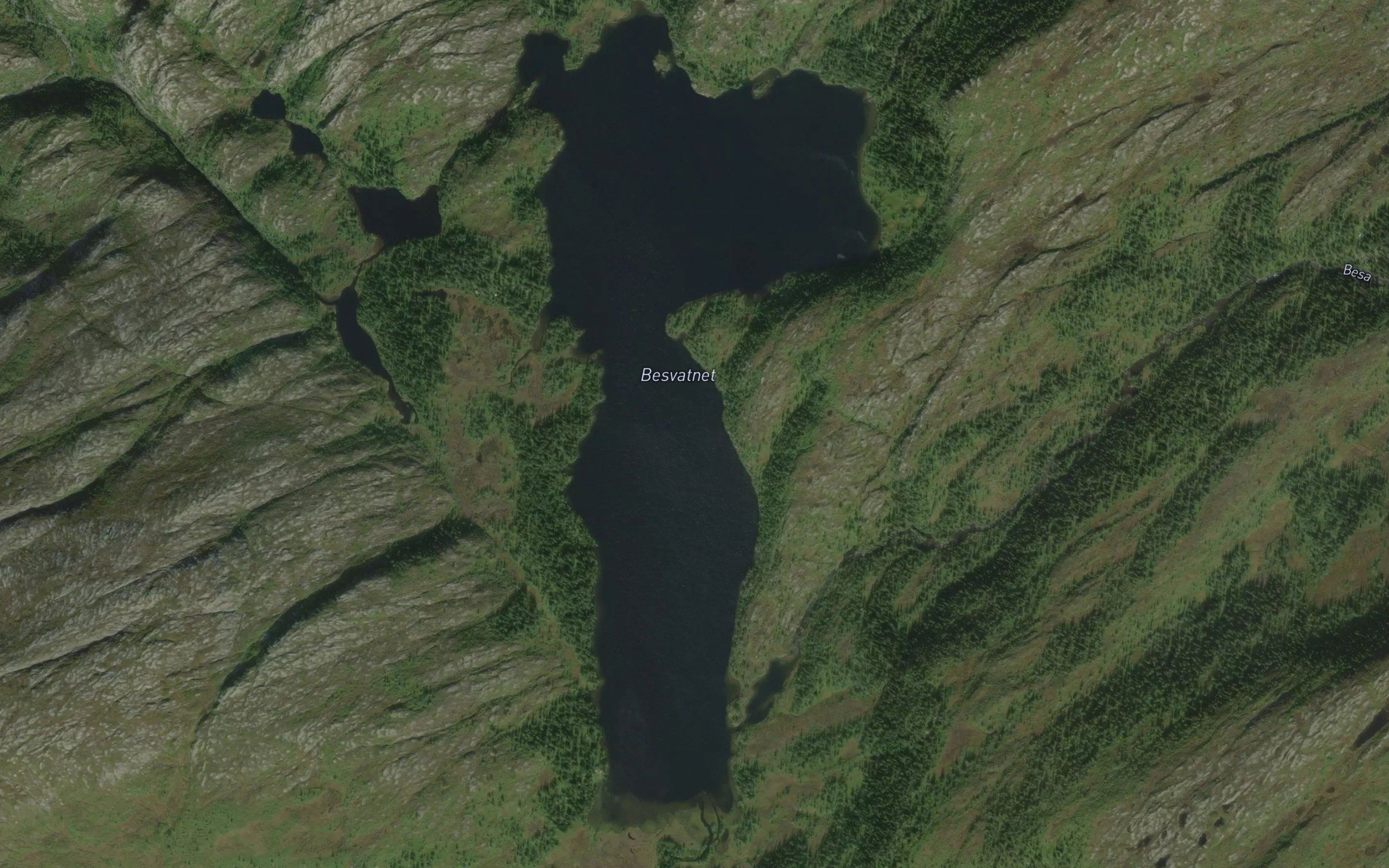 Besvatnet