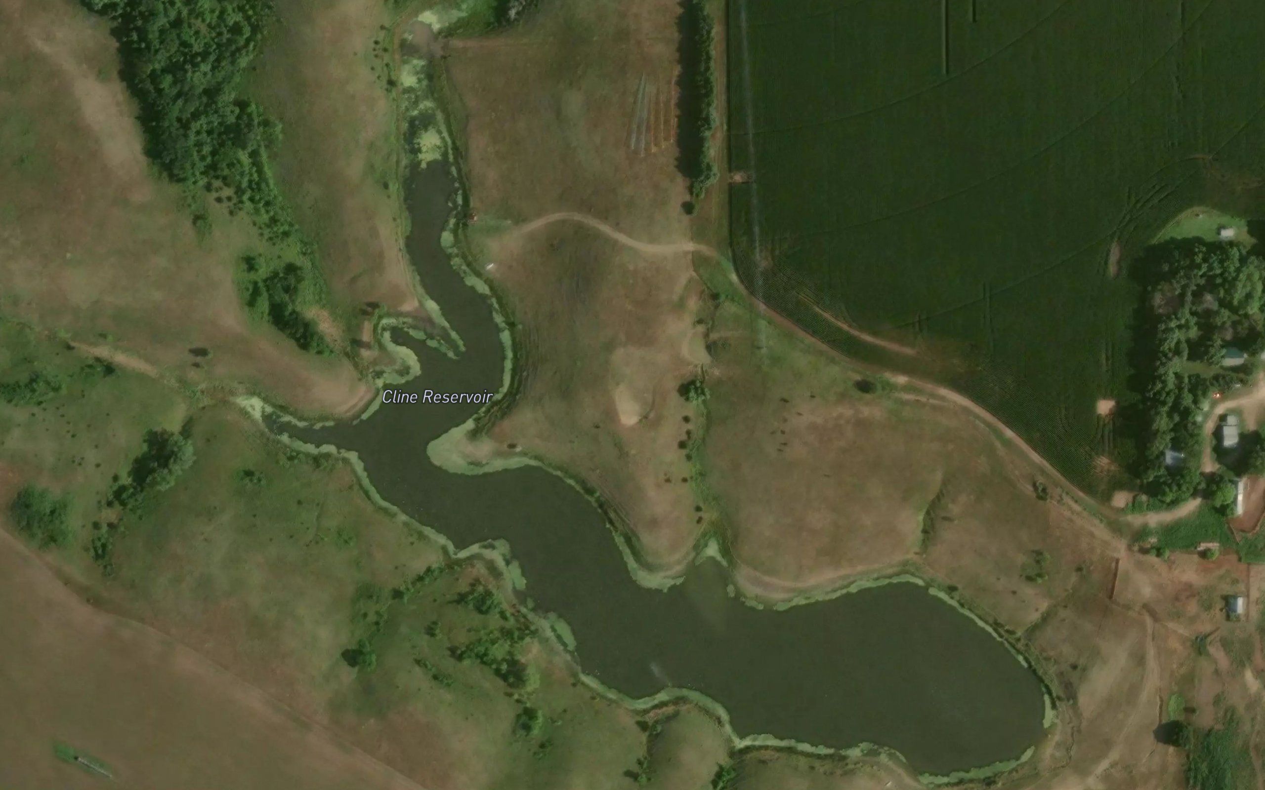 Cline Reservoir