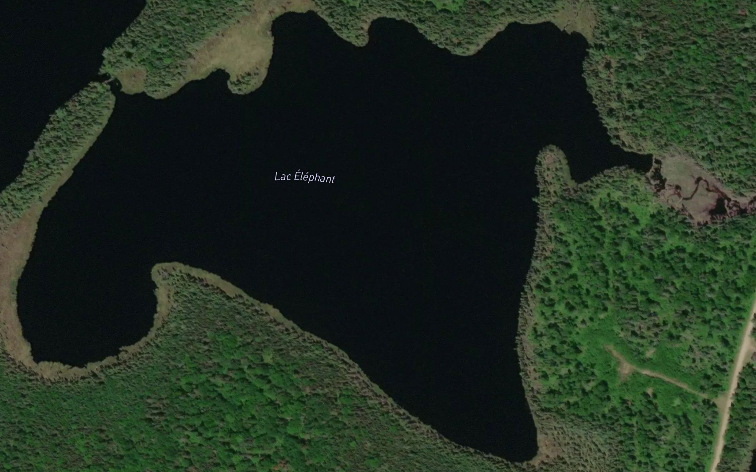 Lac Elephant