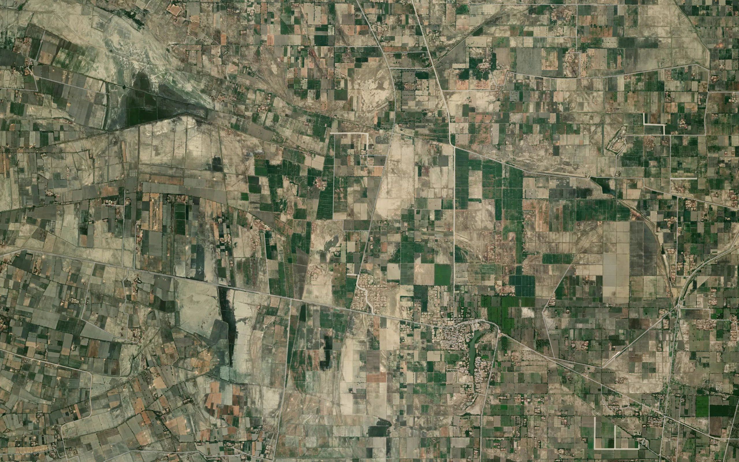 Sumar Branch
