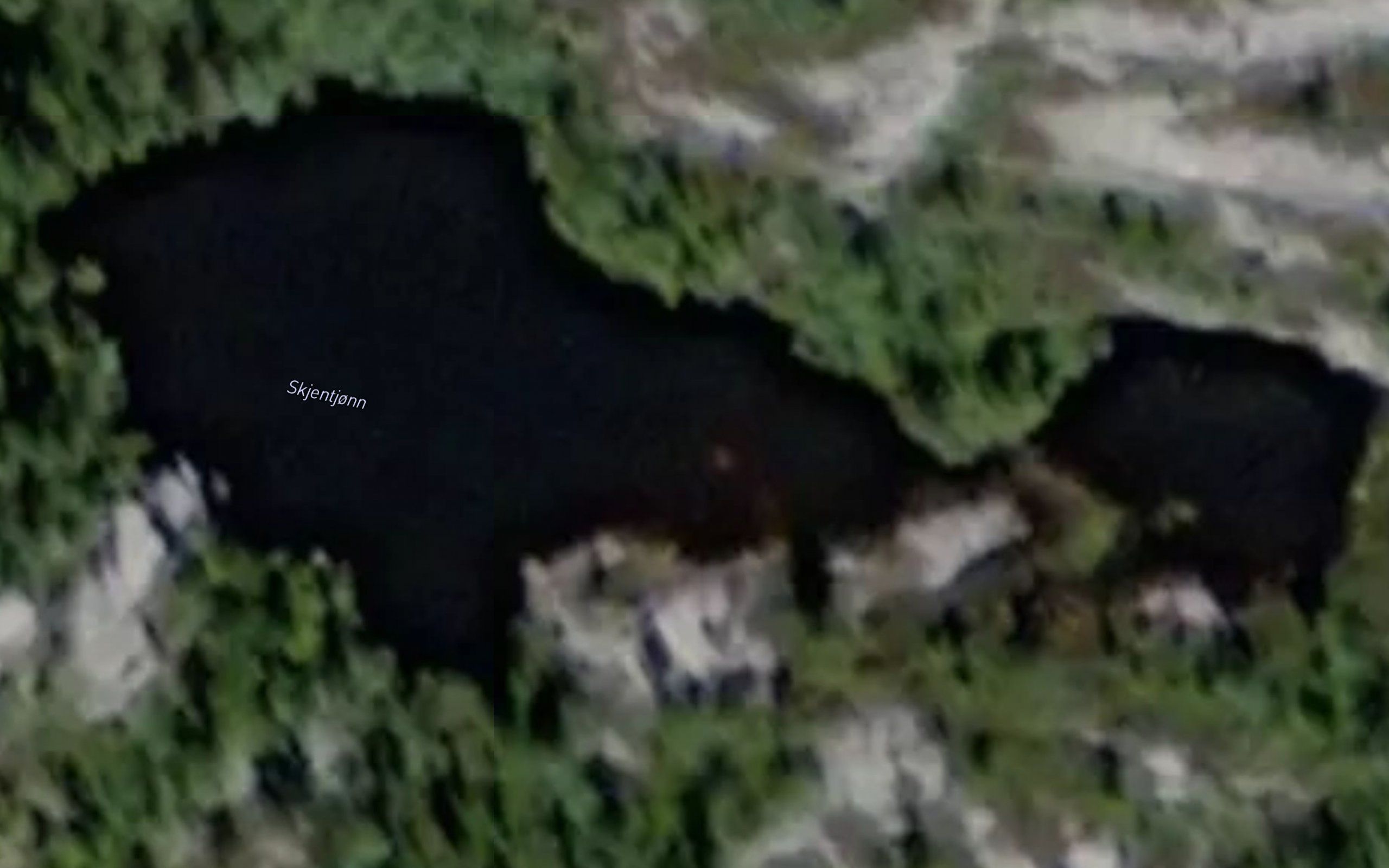 Skjentjonn