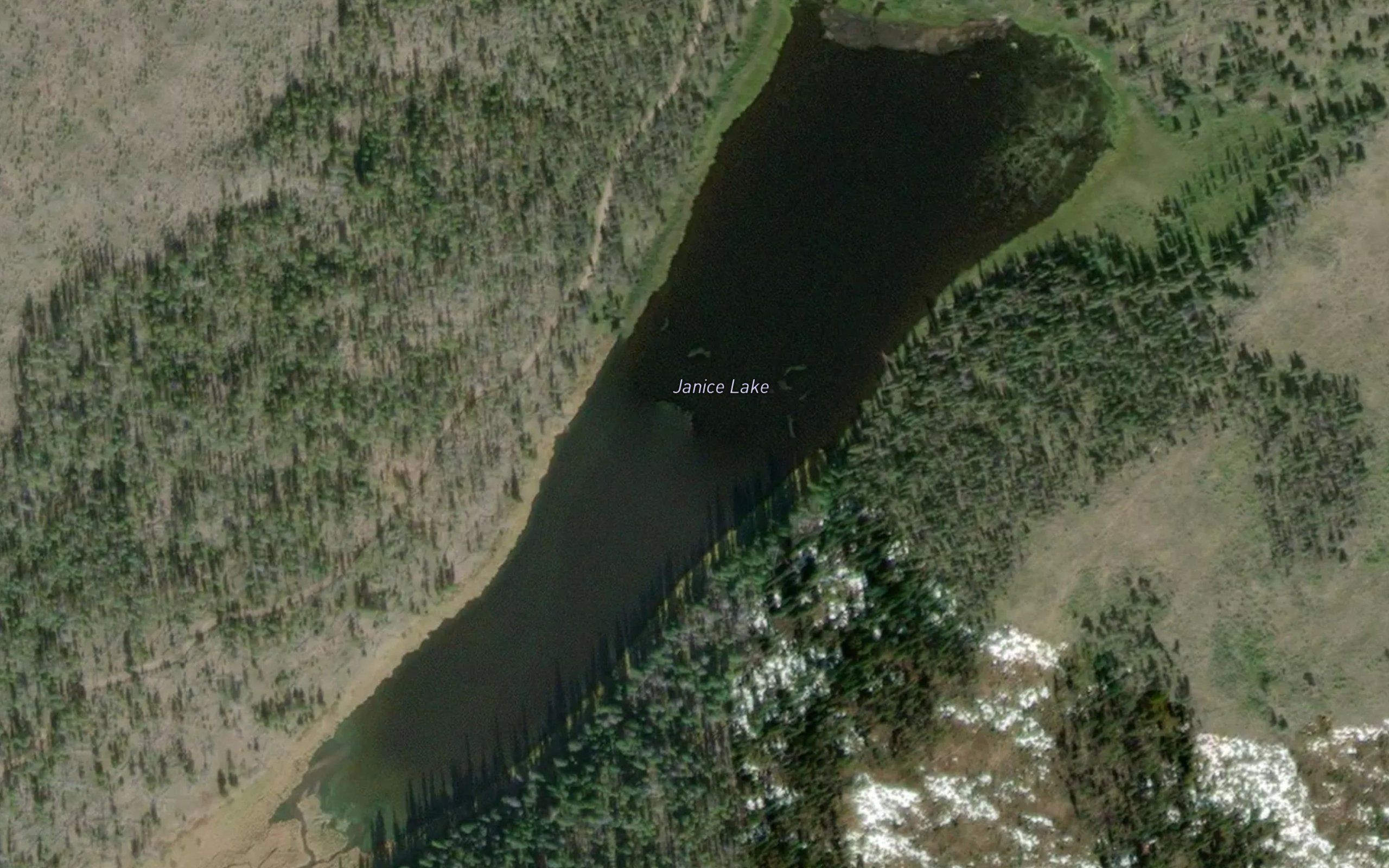Janice Lake