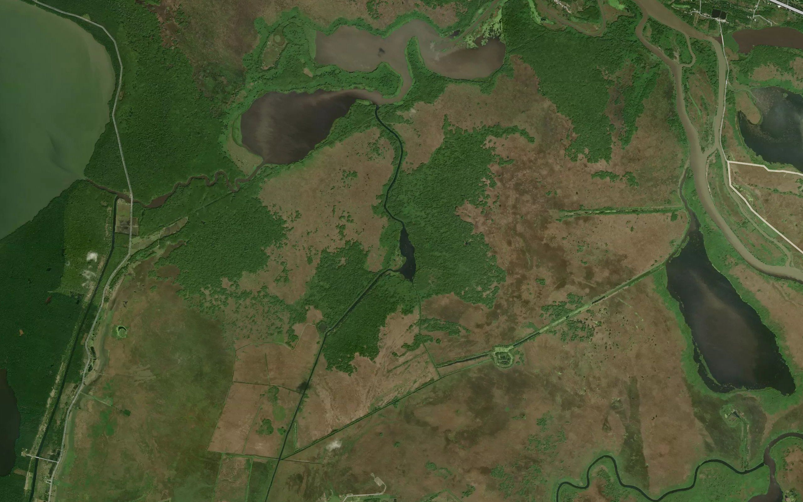 Laguna los Caballos
