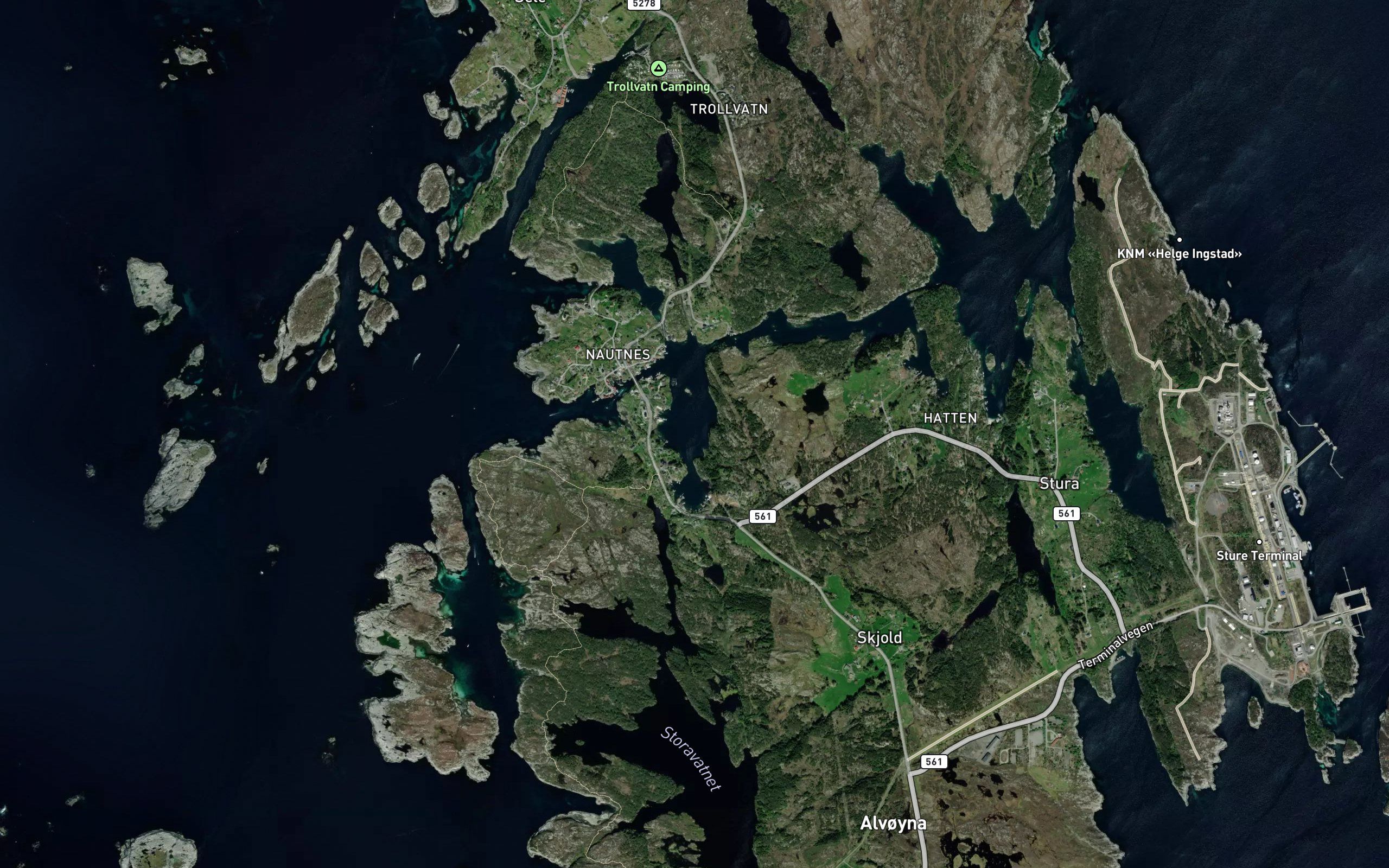 Skjoldspollen
