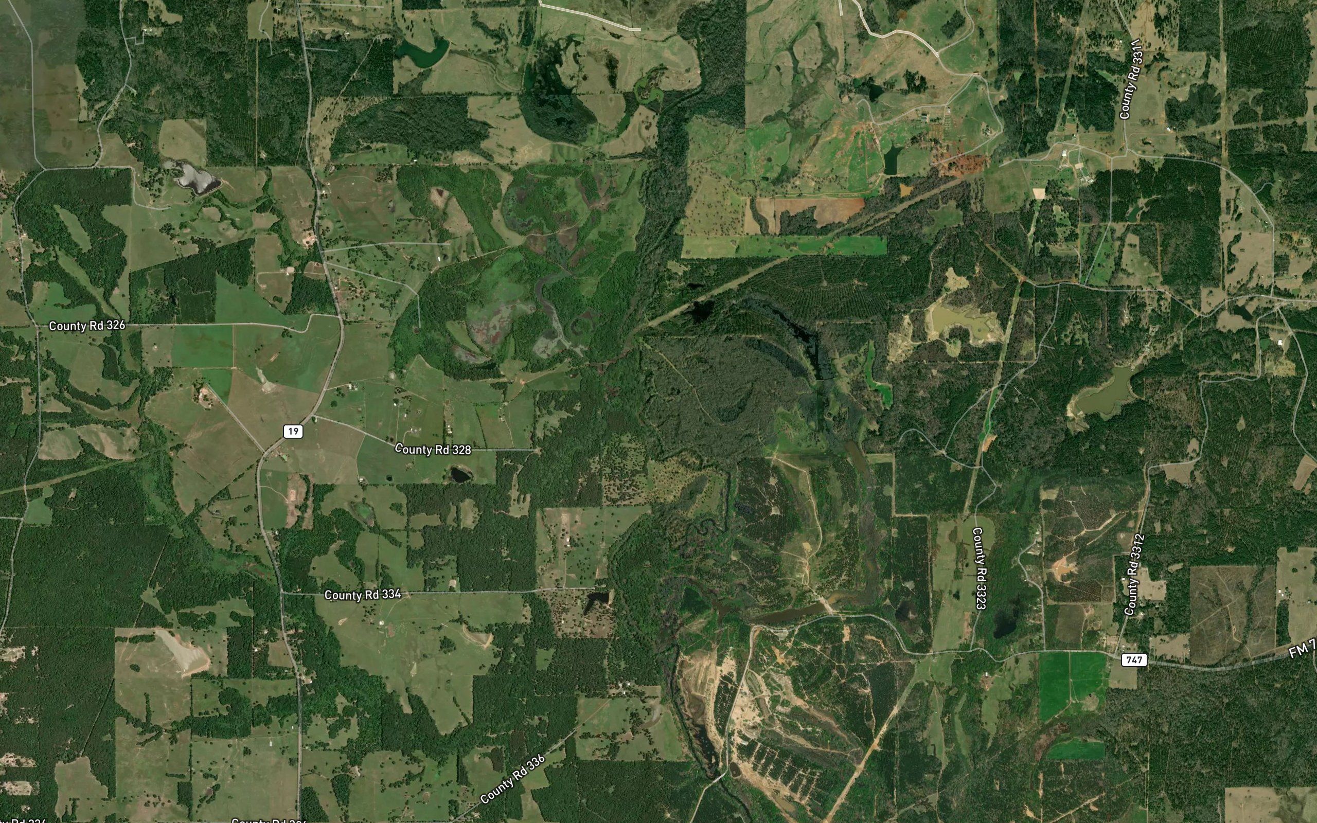Boggy Creek