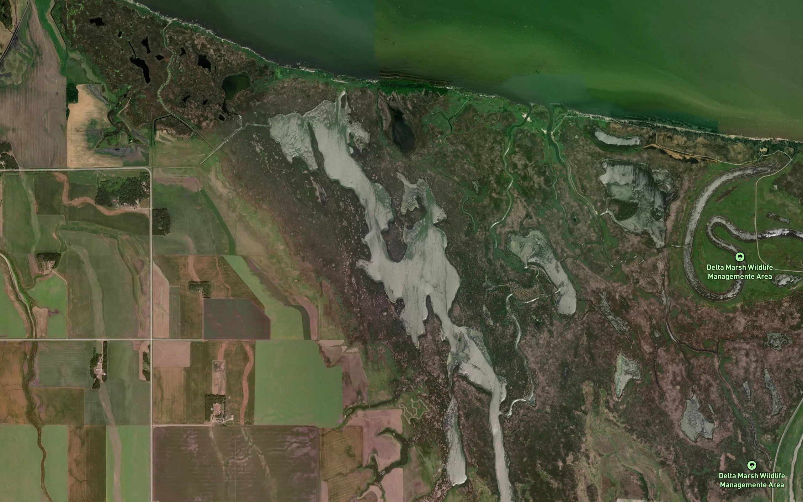 Big Lake