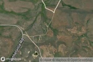 Moores Spring