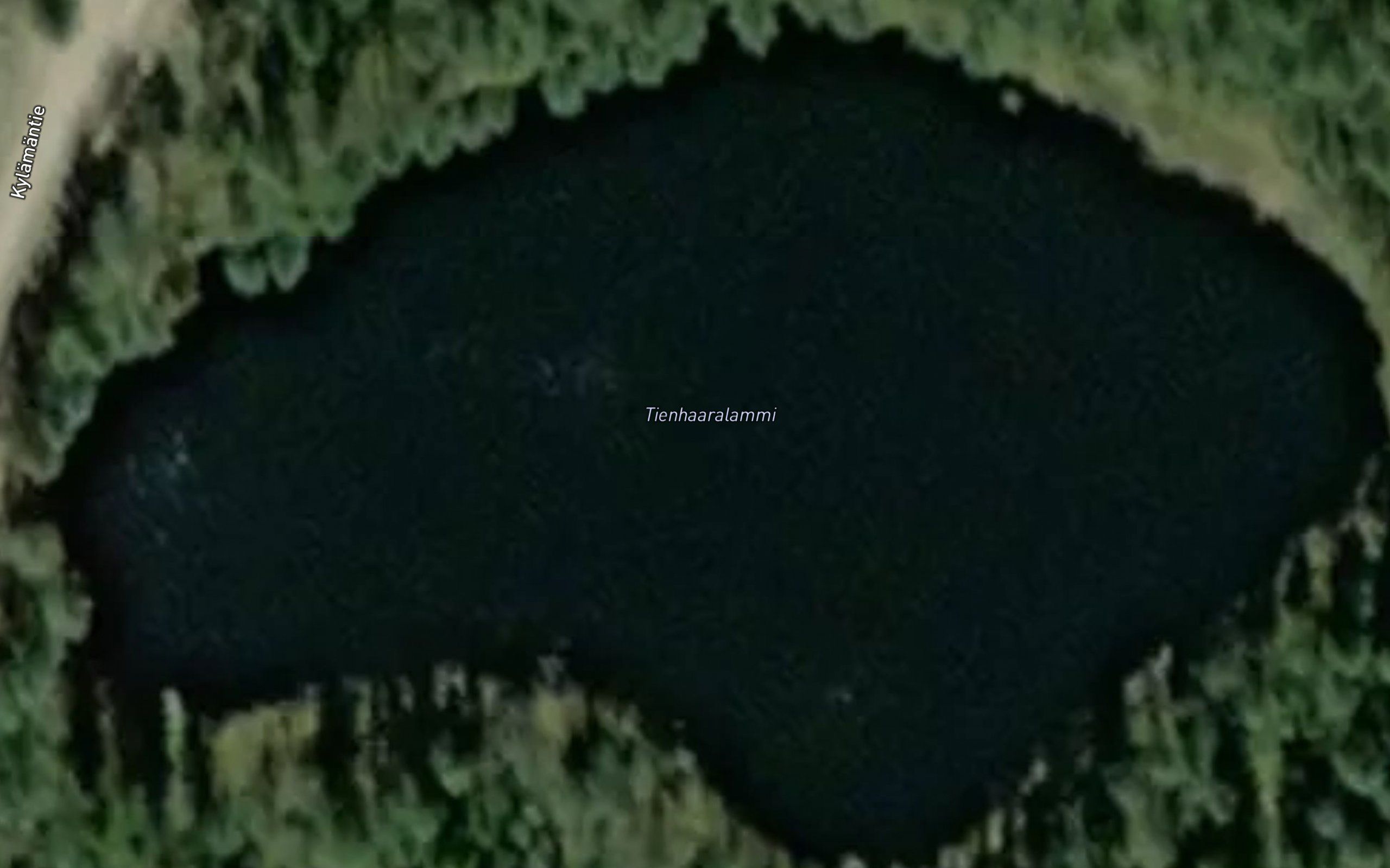 Tienhaaranlammi
