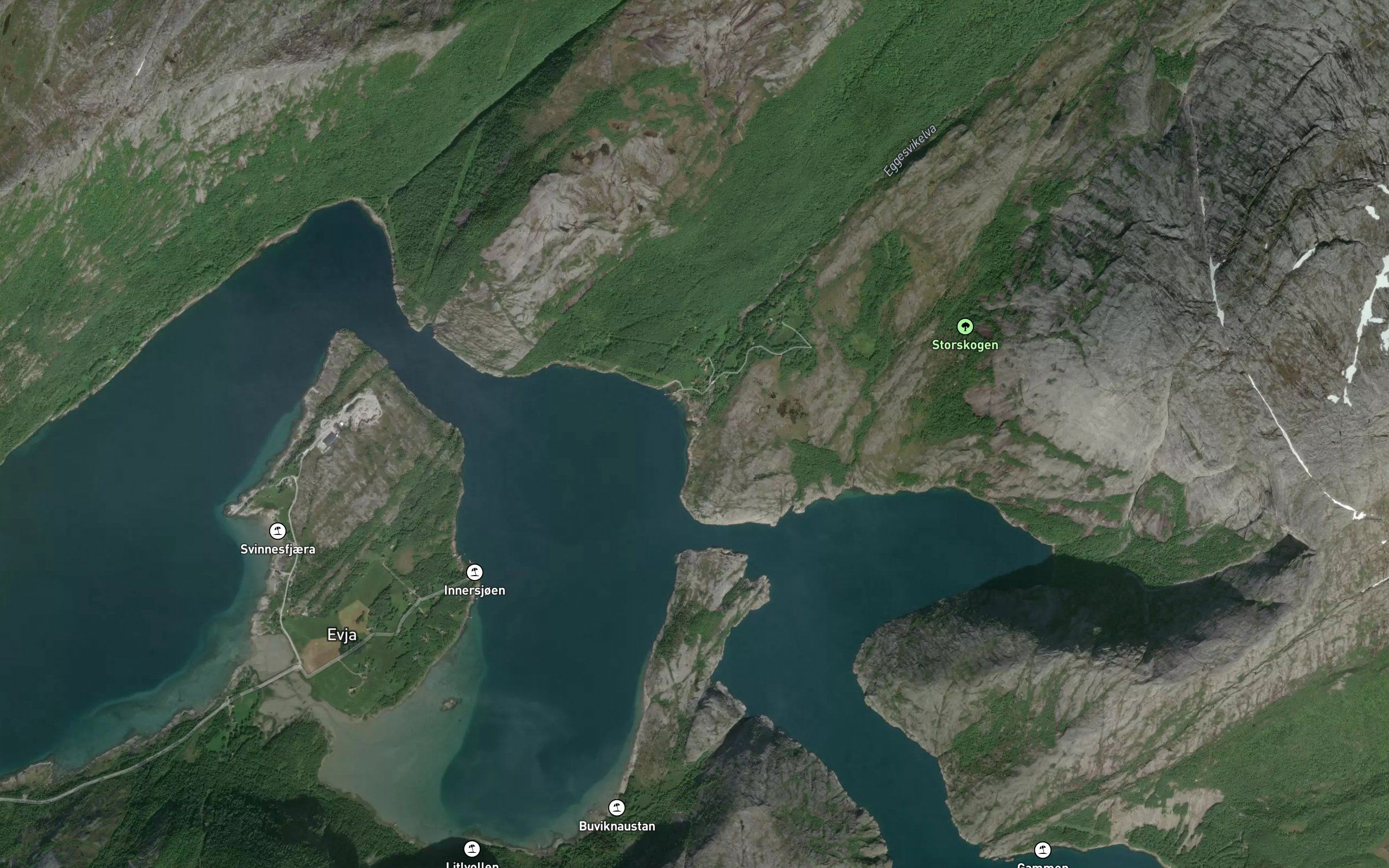 Pakkhusvika