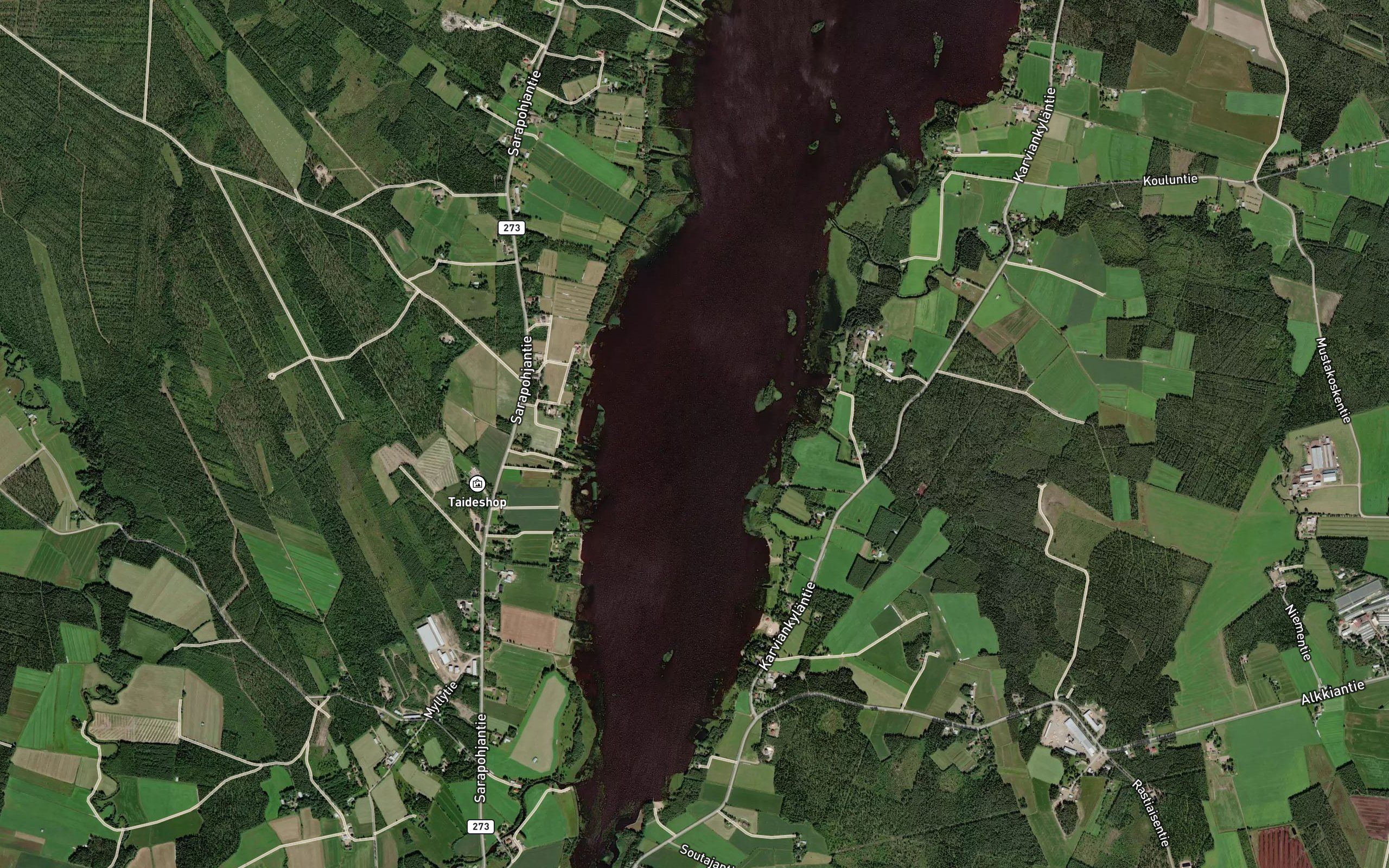 Majansyva