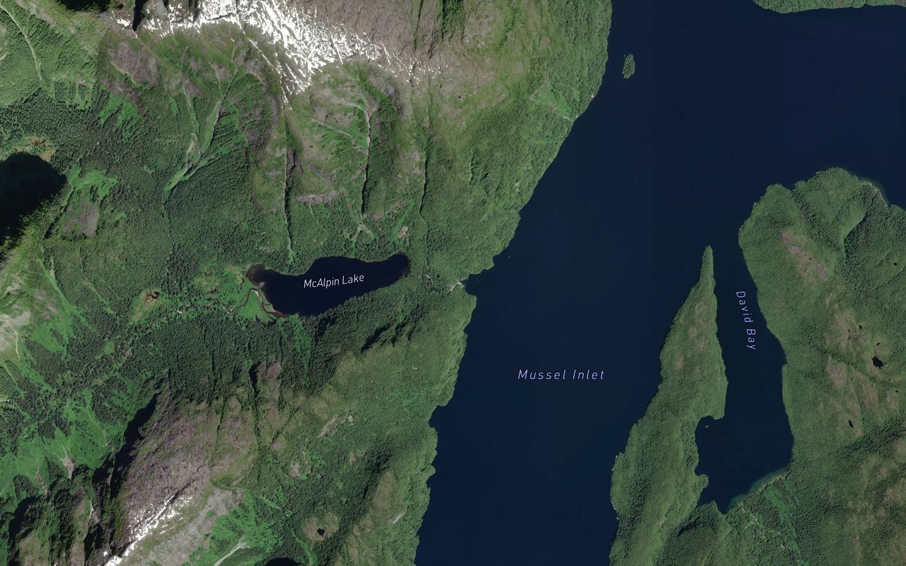 Satellite map of the McAlpin Creek