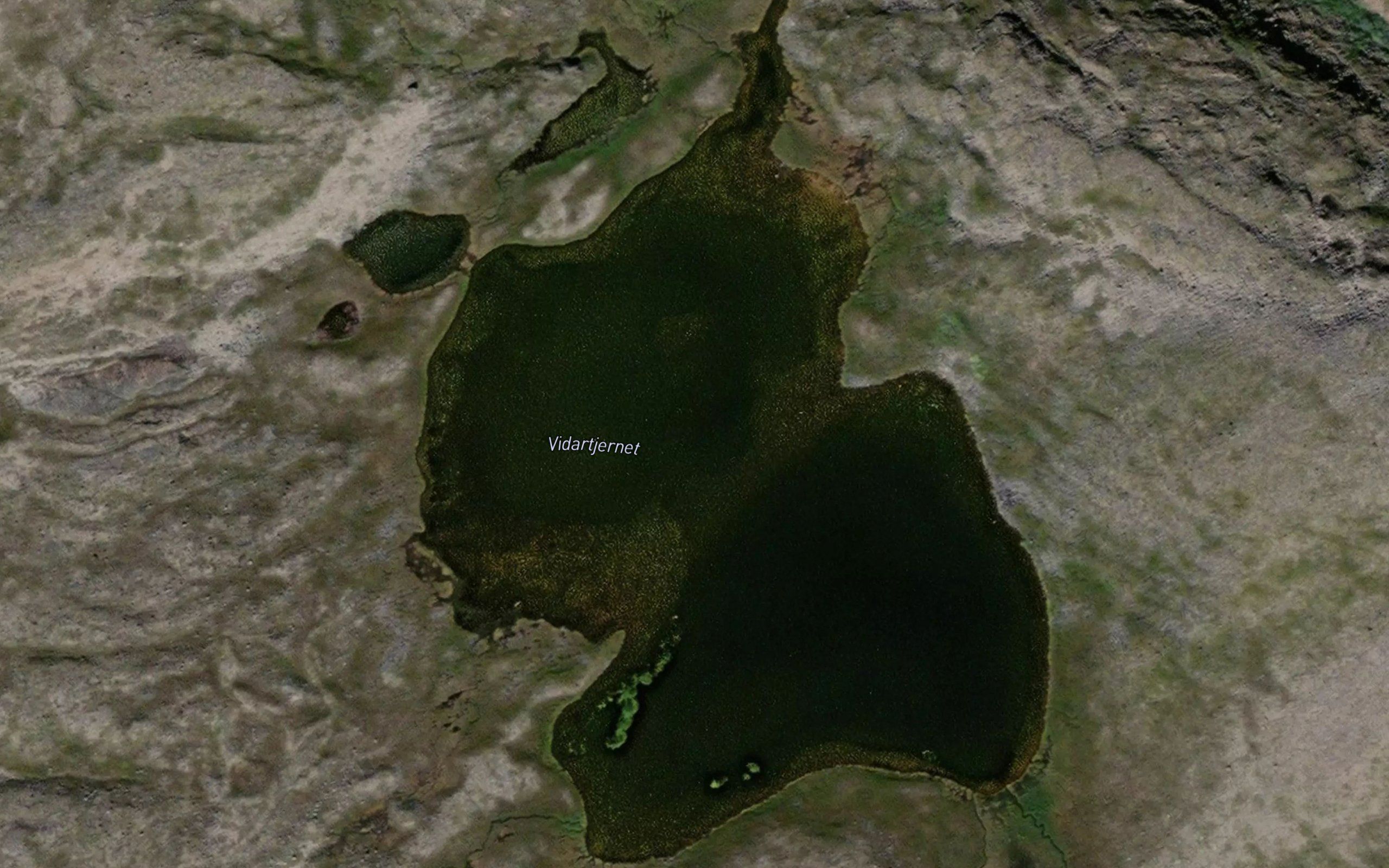Vidartjernet