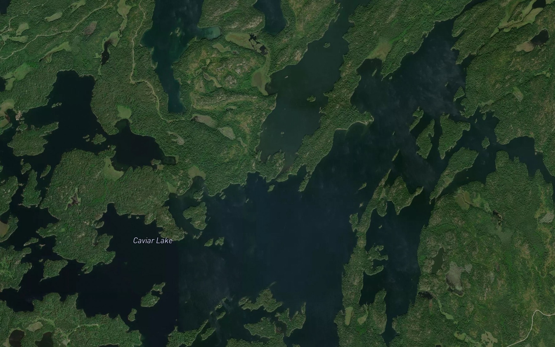 Satellite map of the William Bay
