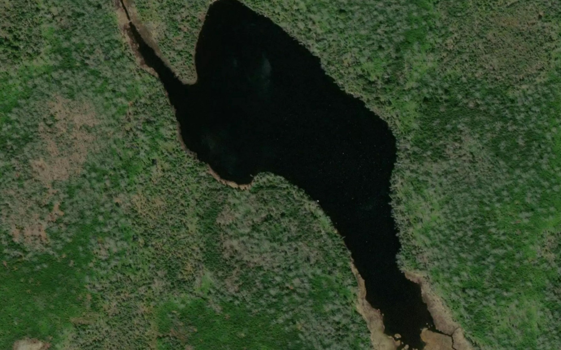 Satellite map of the Cranberry Lake