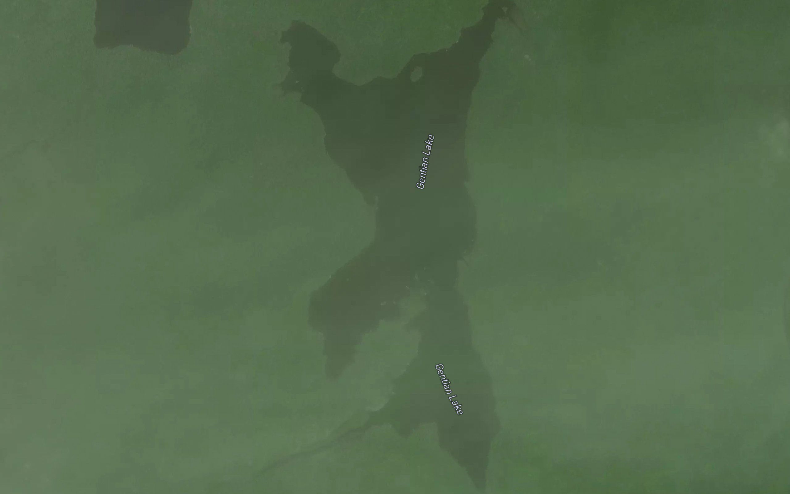 Gentian Lake