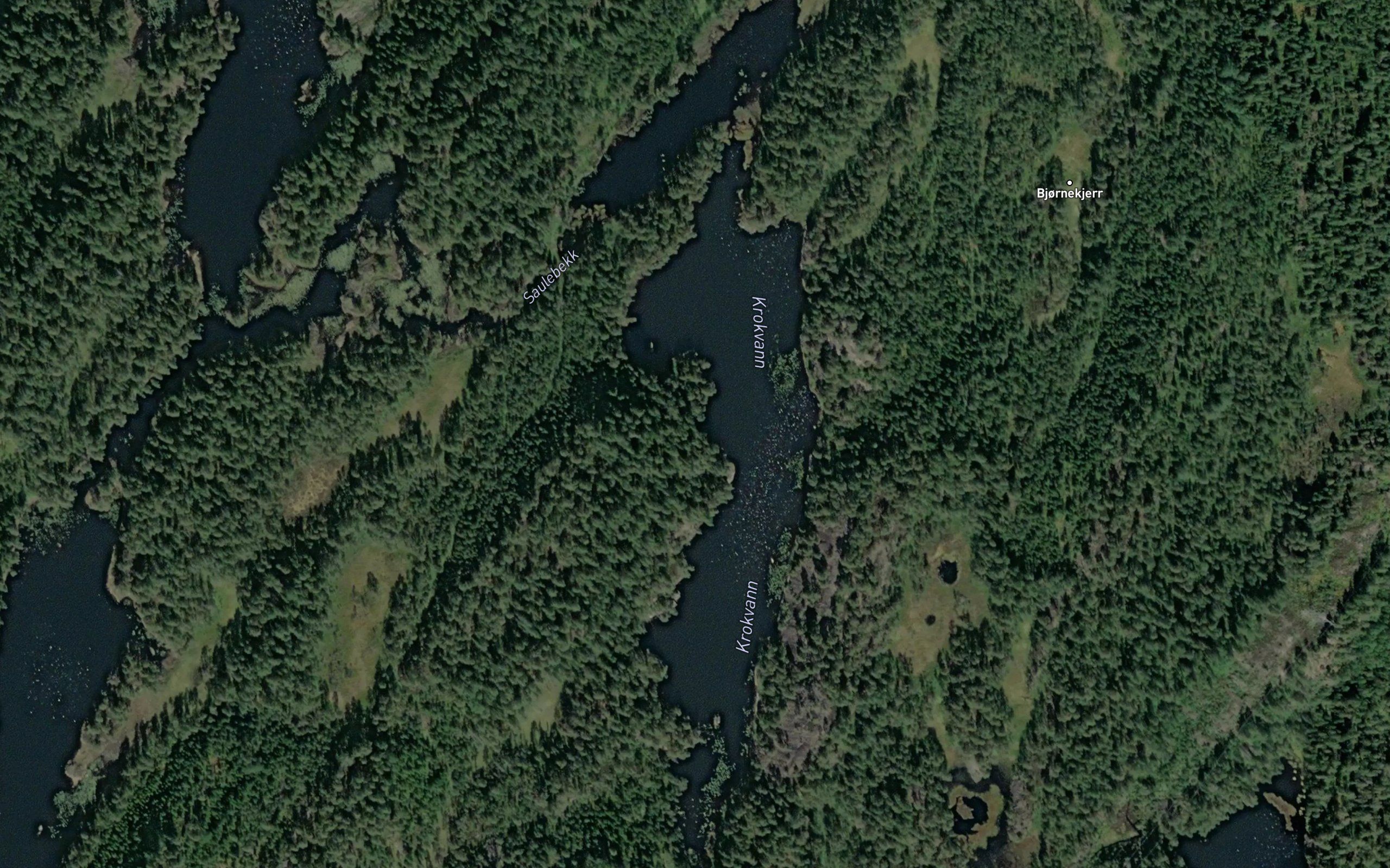 Krokvann