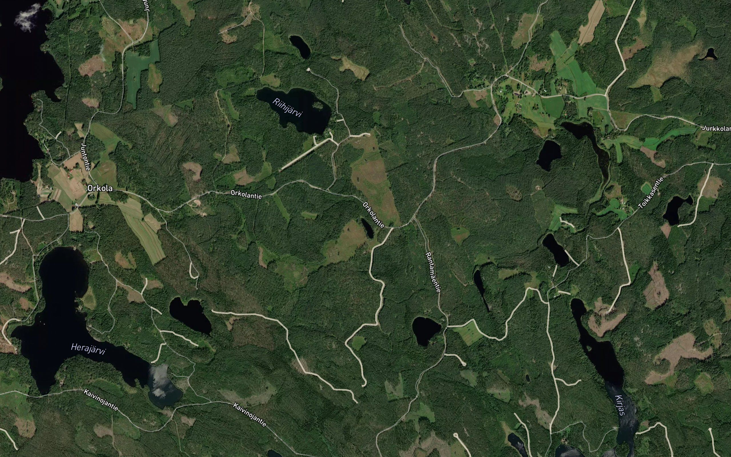 Kalatonlampi