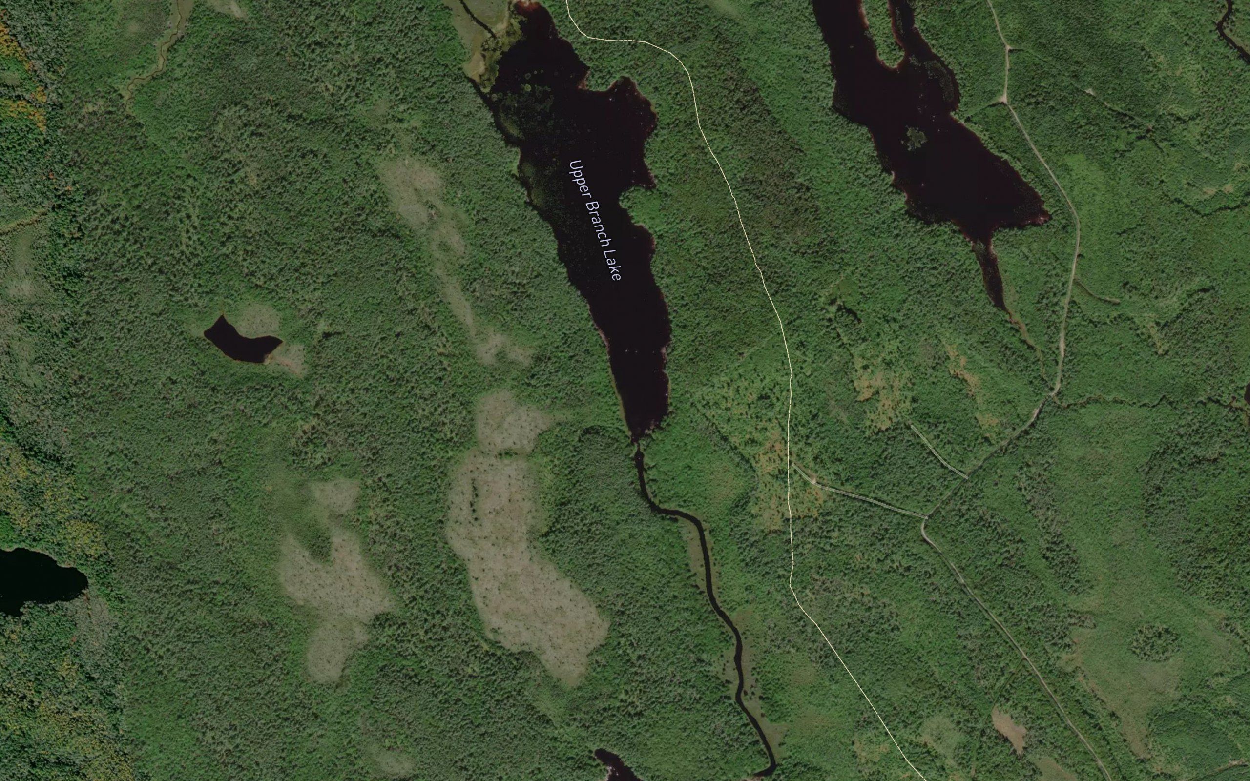 Upper Branch Lake