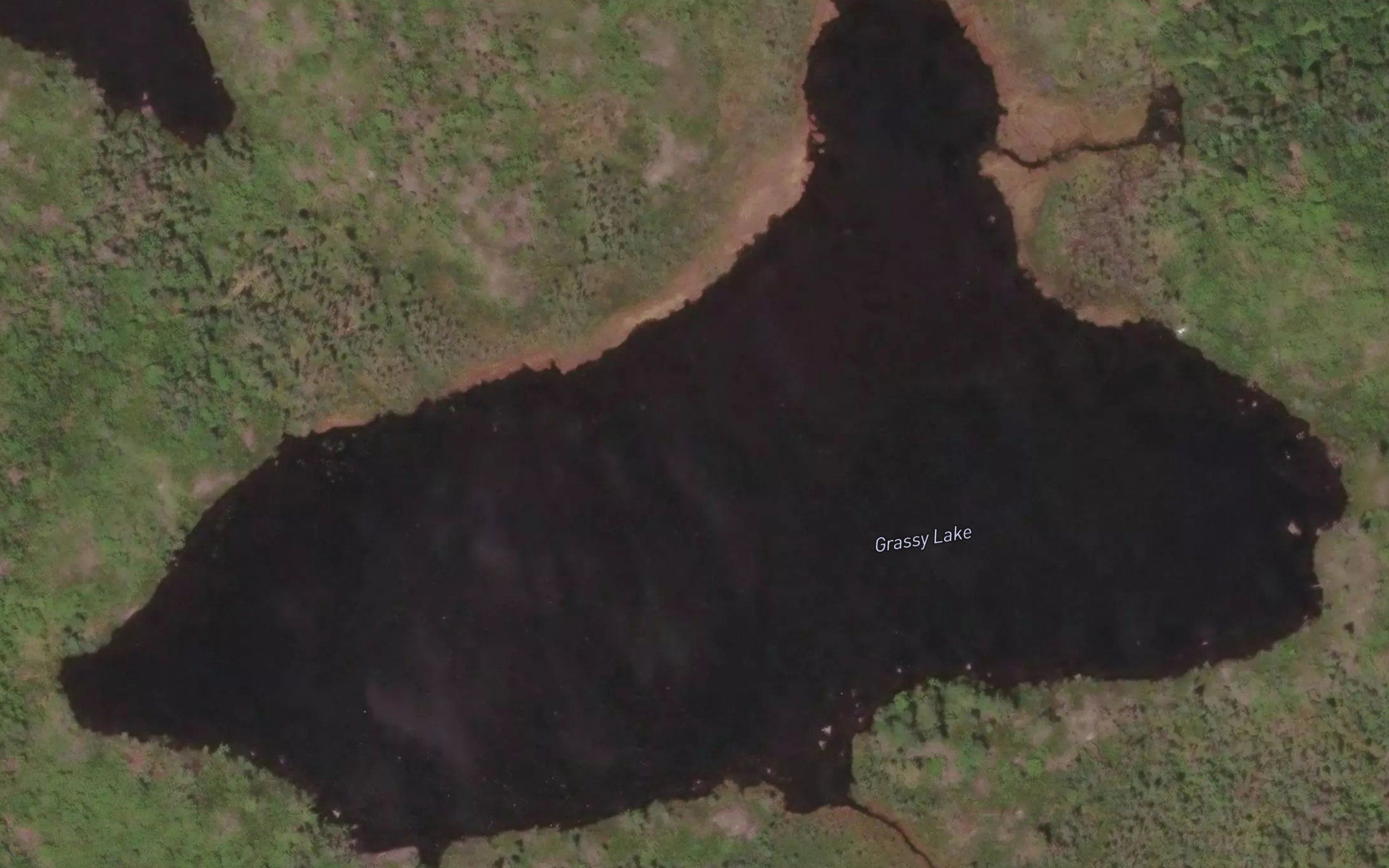 Grassy Lake