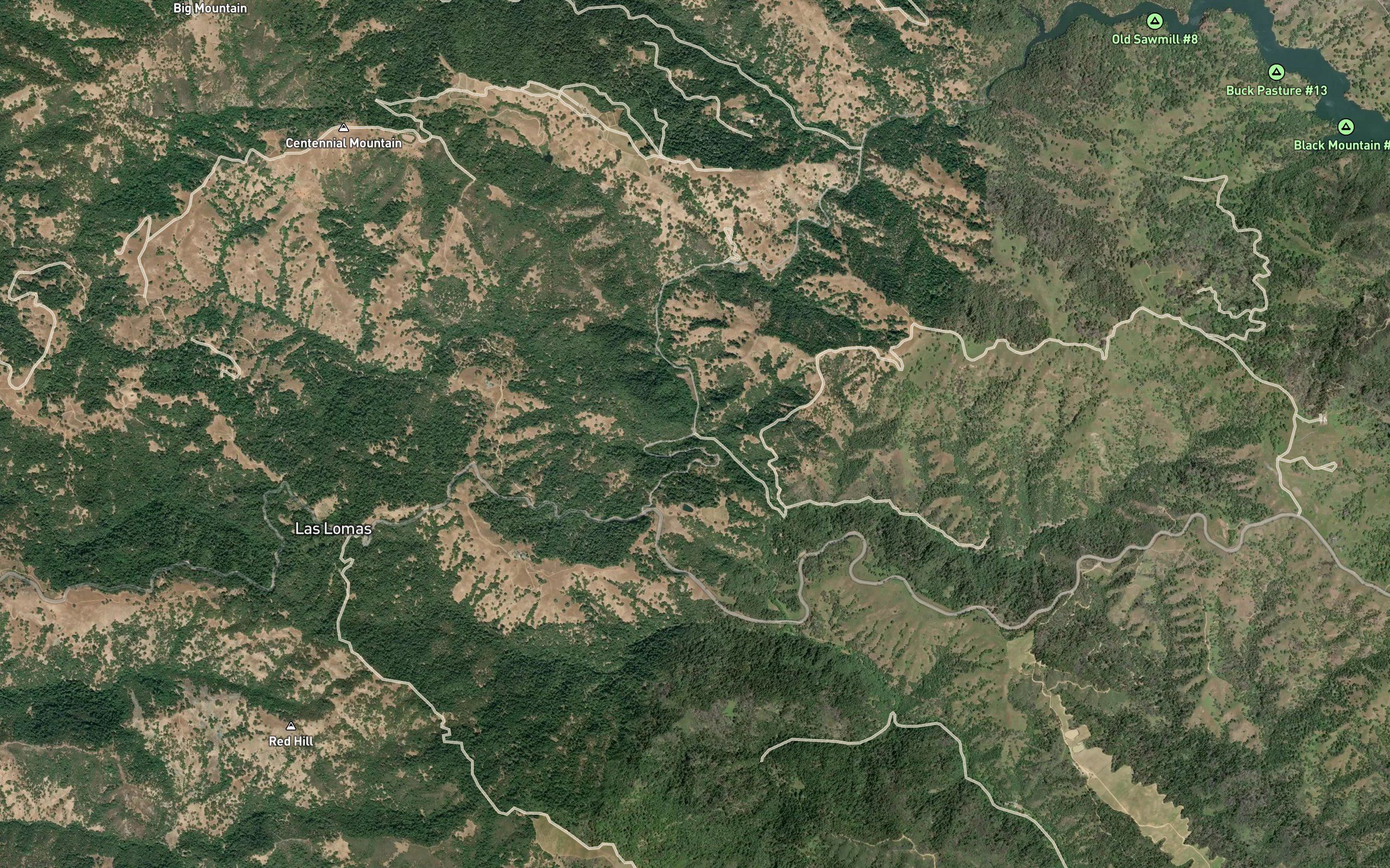 Wild Cattle Creek