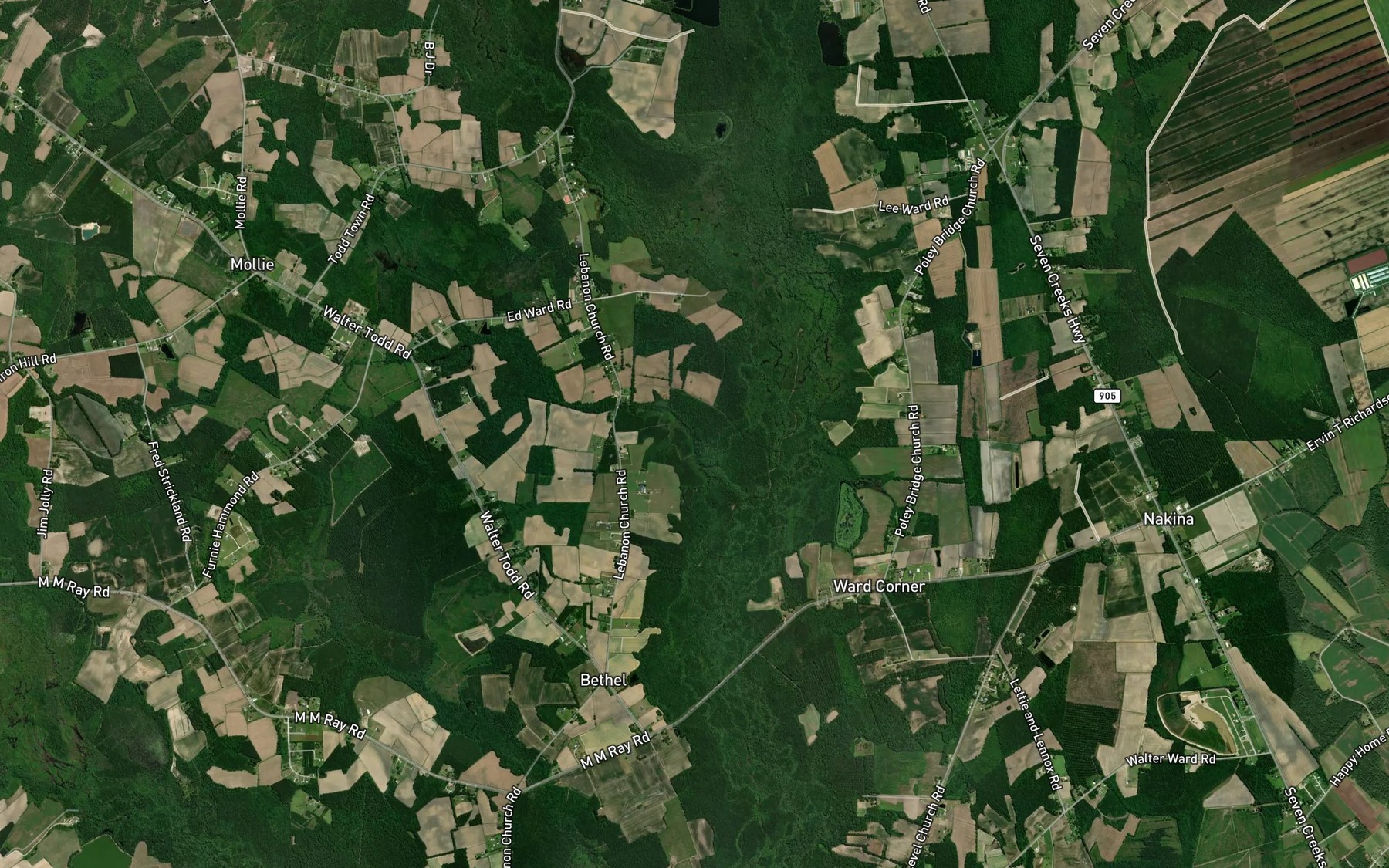 Satellite map of the Mollie Swamp