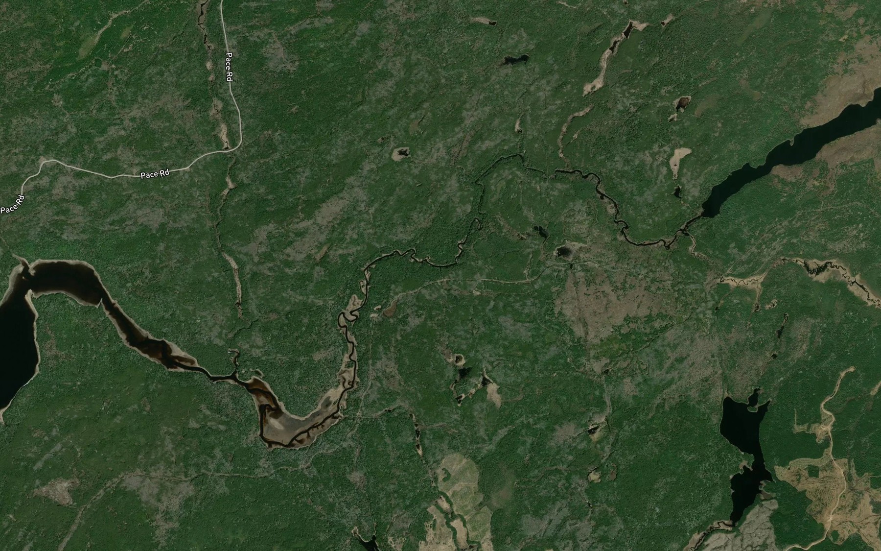 Satellite map of the East Dog River