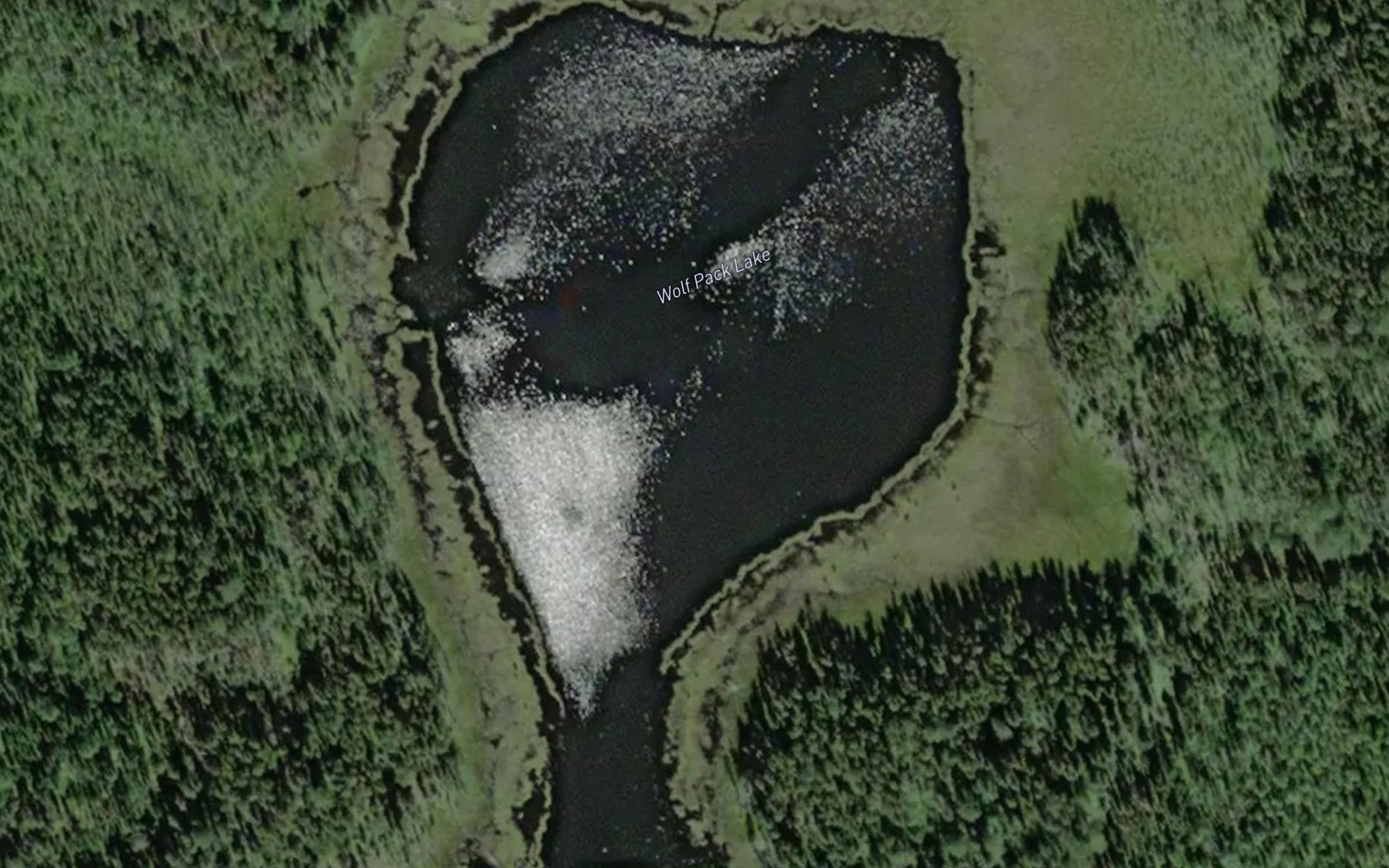 Satellite map of the Wolf Pack Lake