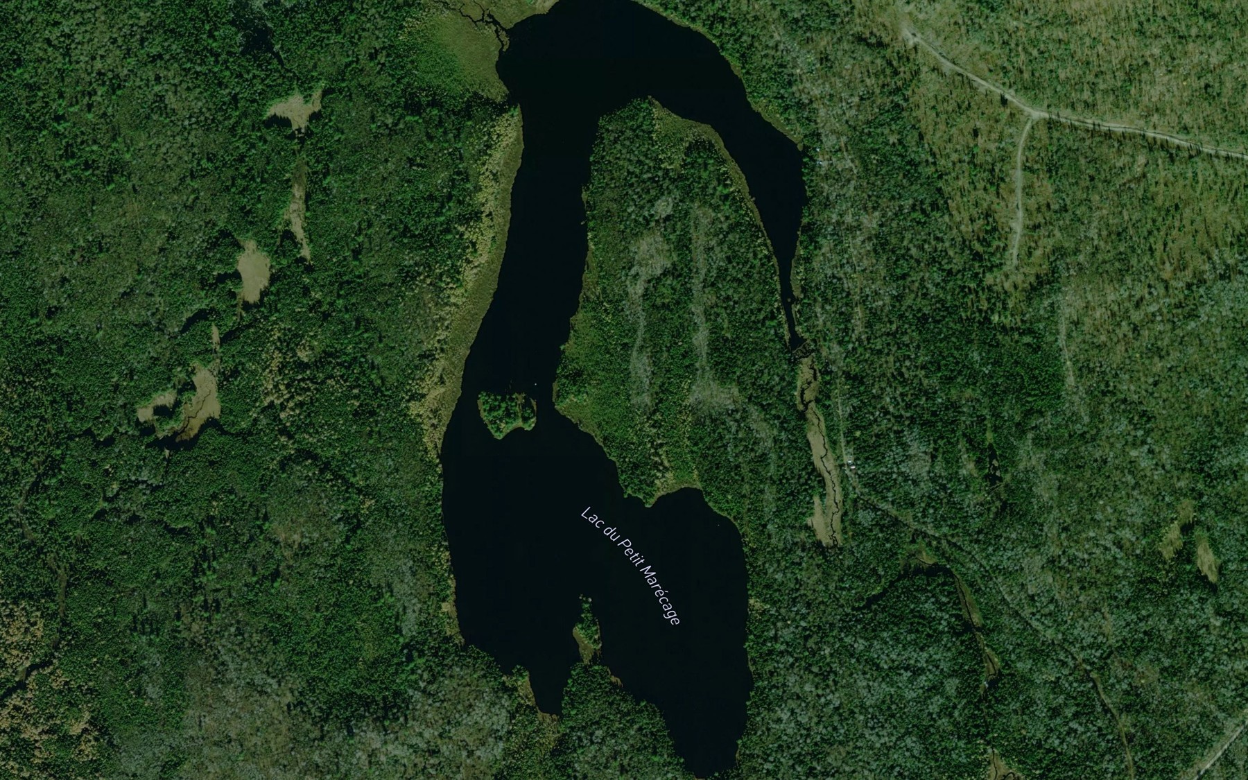 Satellite map of the Lac du Petit Marecage