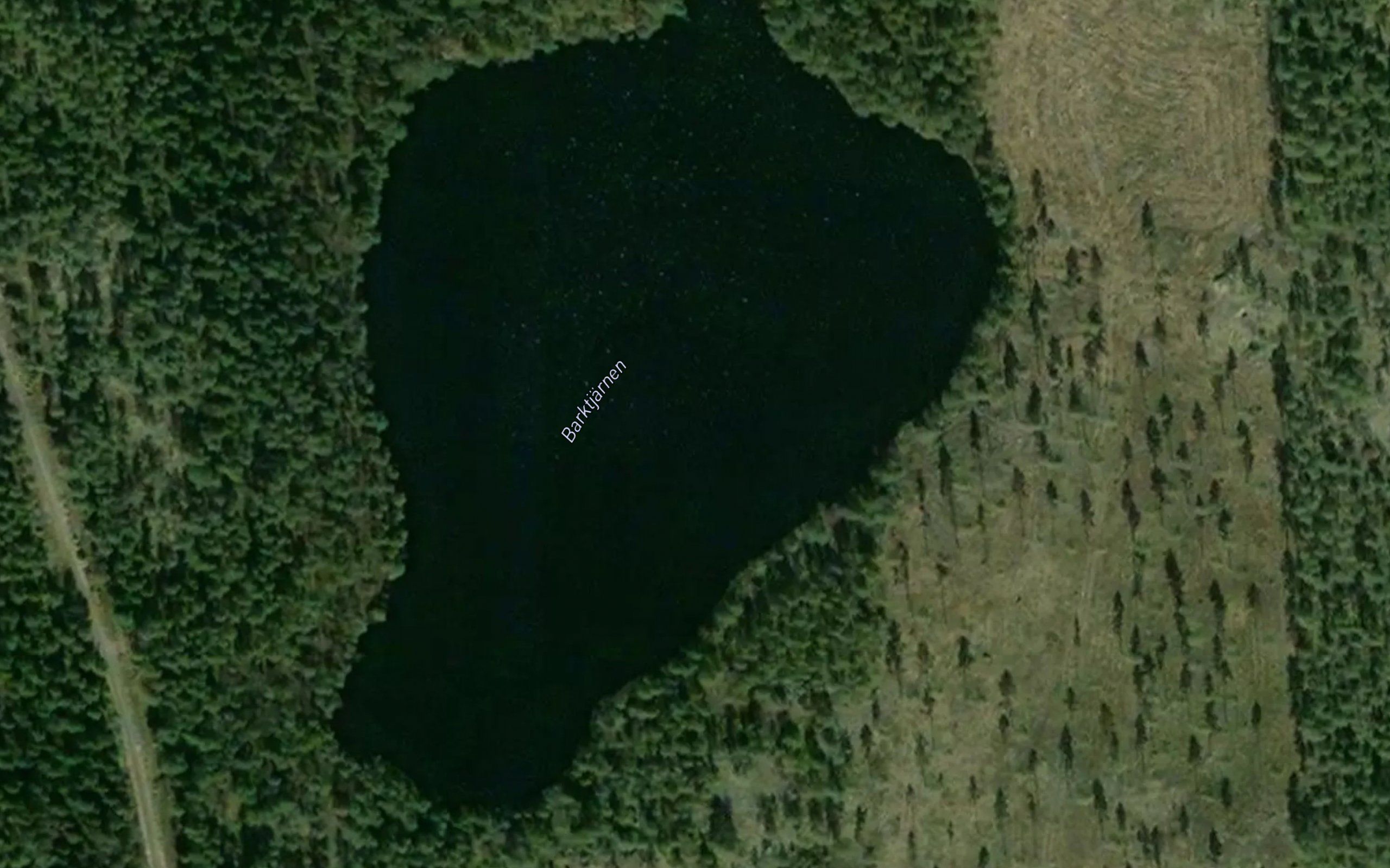Barktjarnen