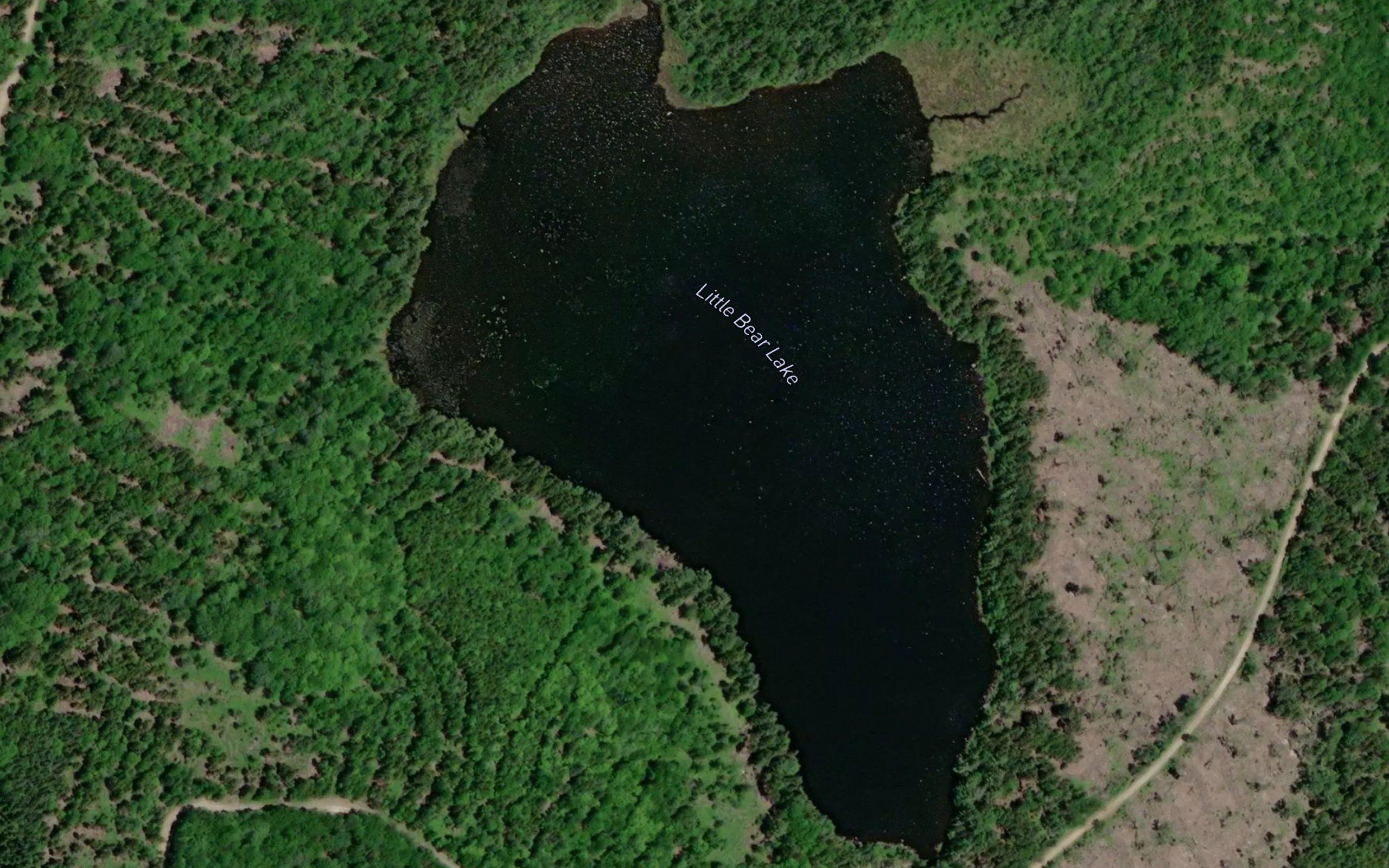 Little Bear Lake