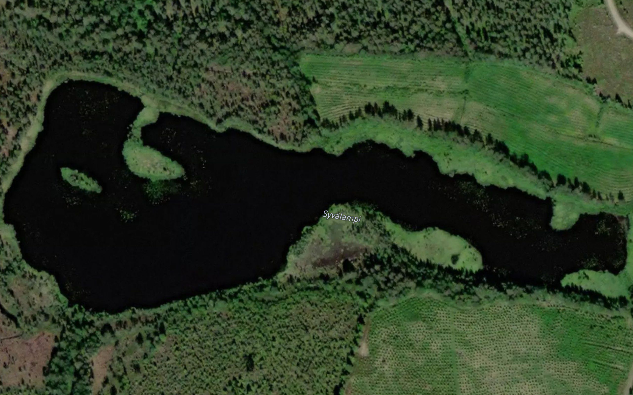 Syvalampi