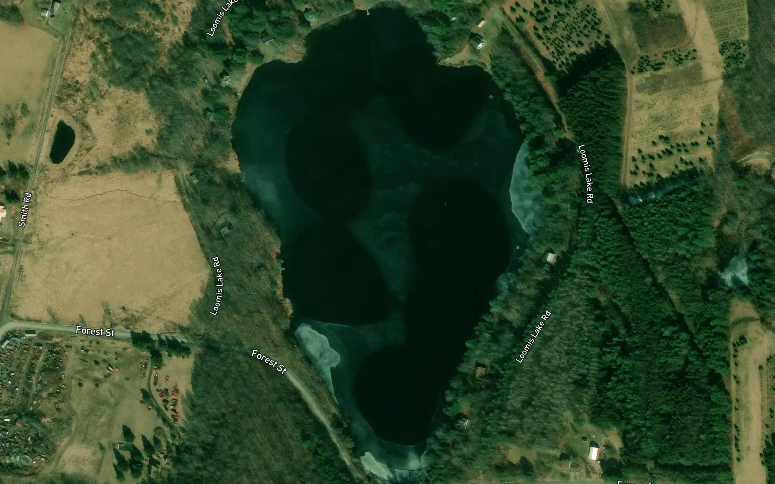 Loomis Lake