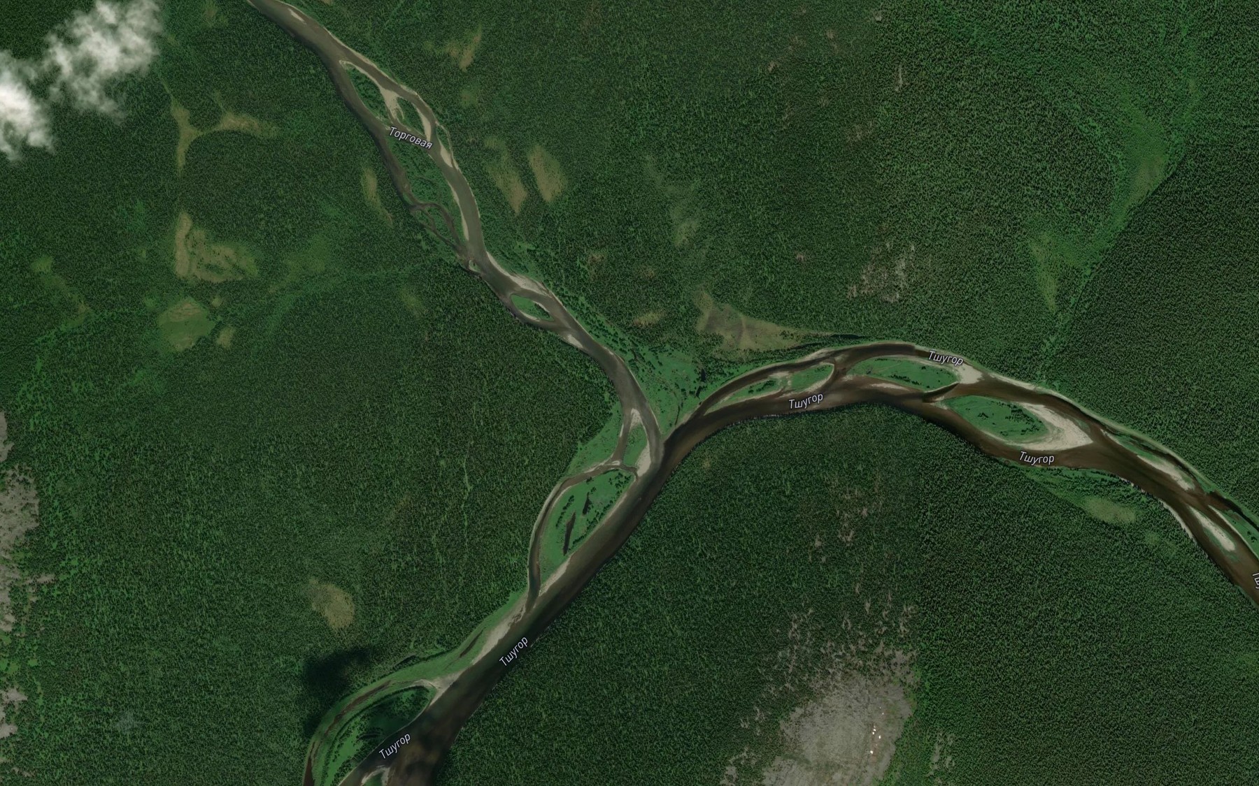 Satellite map of the Torgovaya