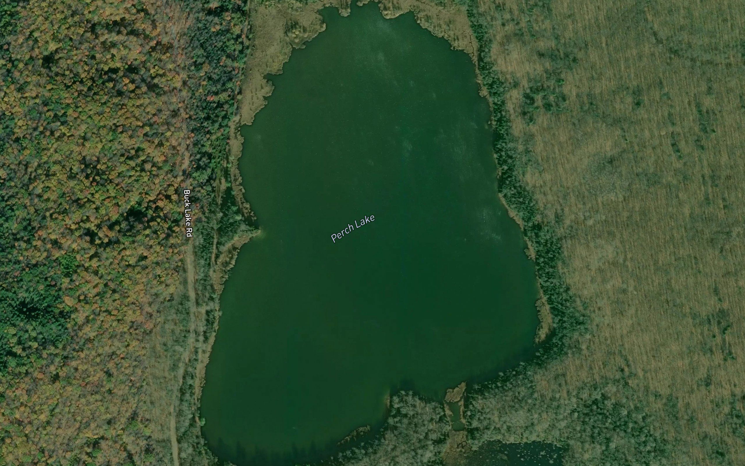 Perch Lake
