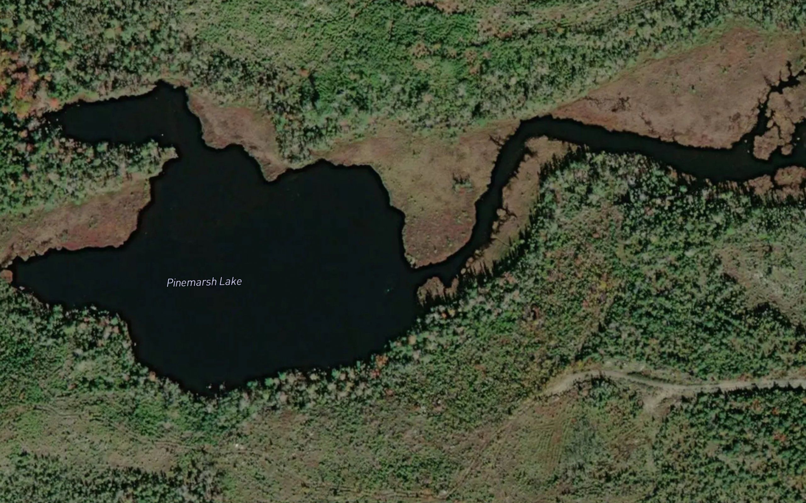 Pinemarsh Lake