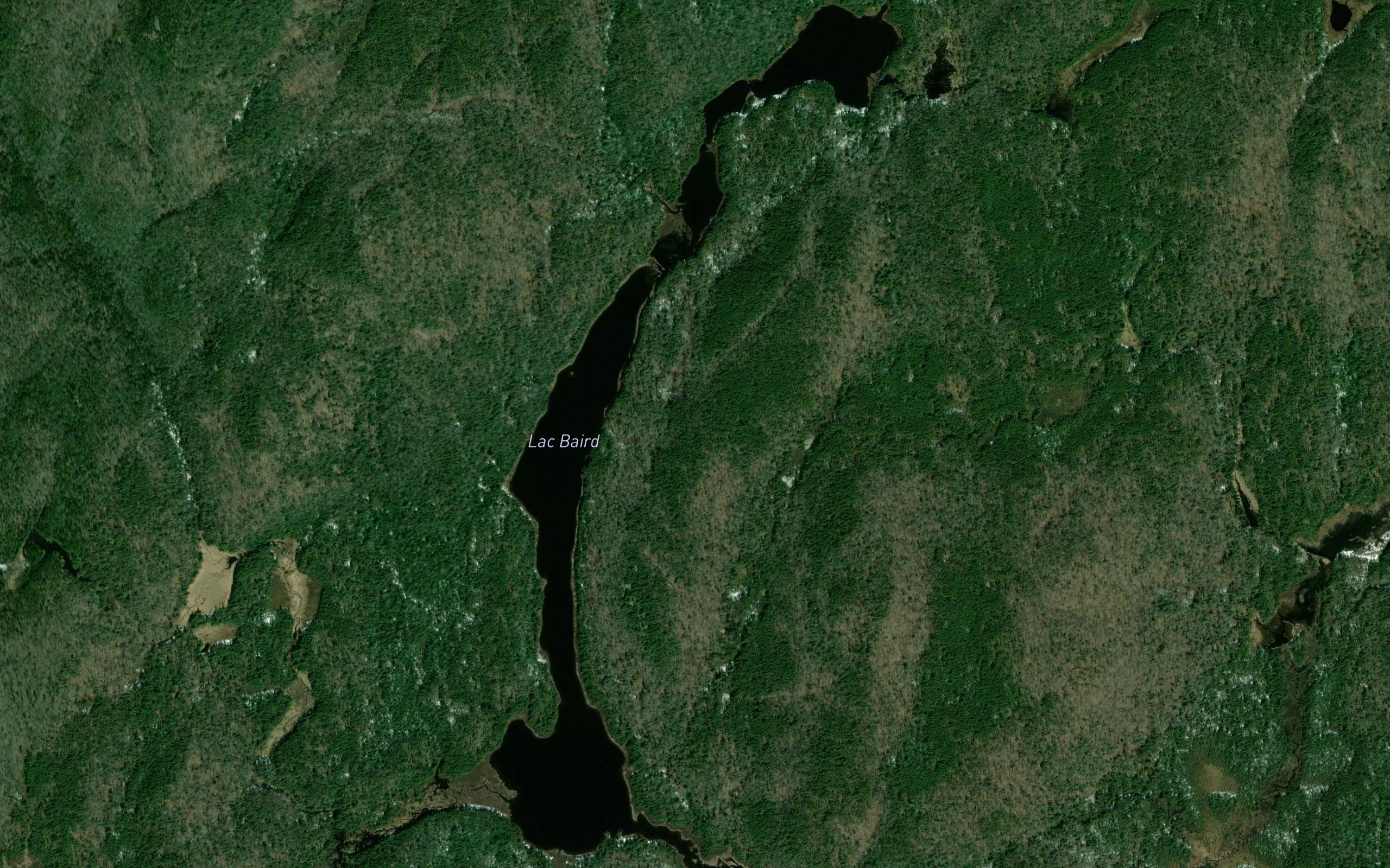 Lac Baird